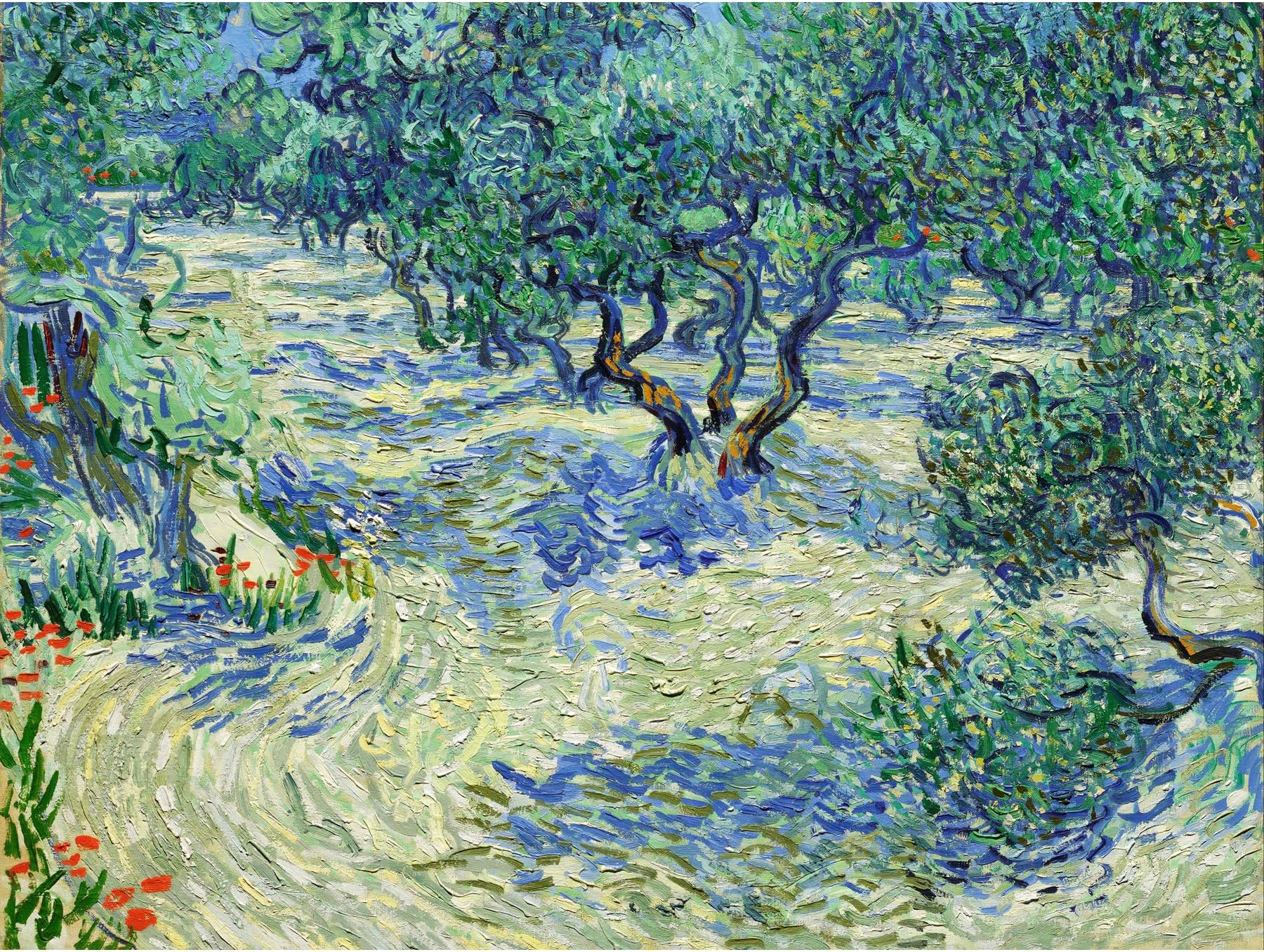 Fine Art Prints Vincent Van Gogh Olive Orchard Large Poster Wall Decor Premium Mural
