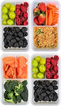Bento Box for Kids & Adults Reusable Lunch Containers, 4 Pack, Clear, 39 oz