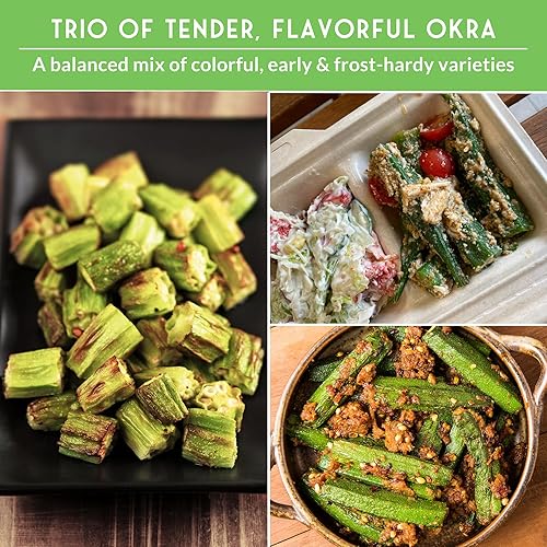 Miniatura 5 de Okra Seed Collection for Planting - 3 Packets - Grow Clemson Spineless, Emerald, and Red Burgundy Okra Plants in Your Home Vegetable Garden -