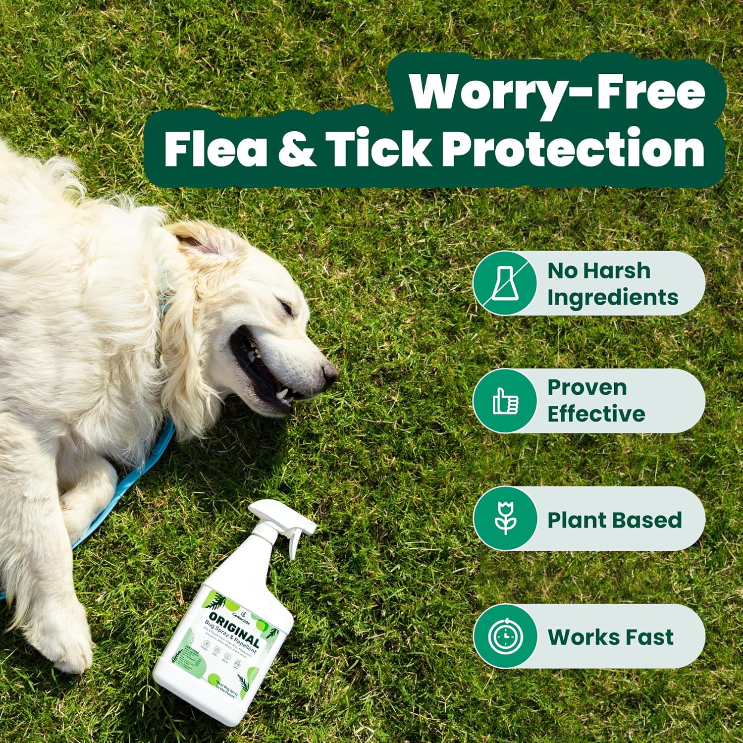 Cedarcide Original Bug Spray | Repel & Kill Fleas, Ticks, Mosquitoes, Mites, Ants & Chiggers | for use on People, Pets & Home | Natural Cedar Oil | Eco-Friendly | Pint (16 Oz.) - Image 5