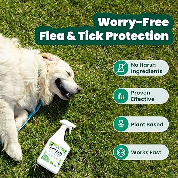Cedarcide Original Bug Spray | Repel & Kill Fleas, Ticks, Mosquitoes, Mites, Ants & Chiggers | For use on People, Pets & Home | Natural Cedar Oil | Eco-Friendly | 8 Oz
