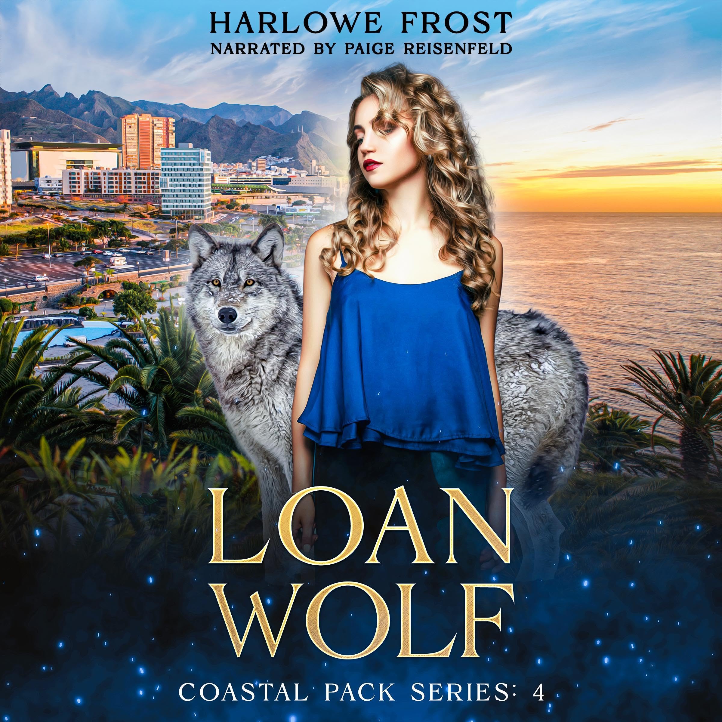 Cover art for Loan Wolf