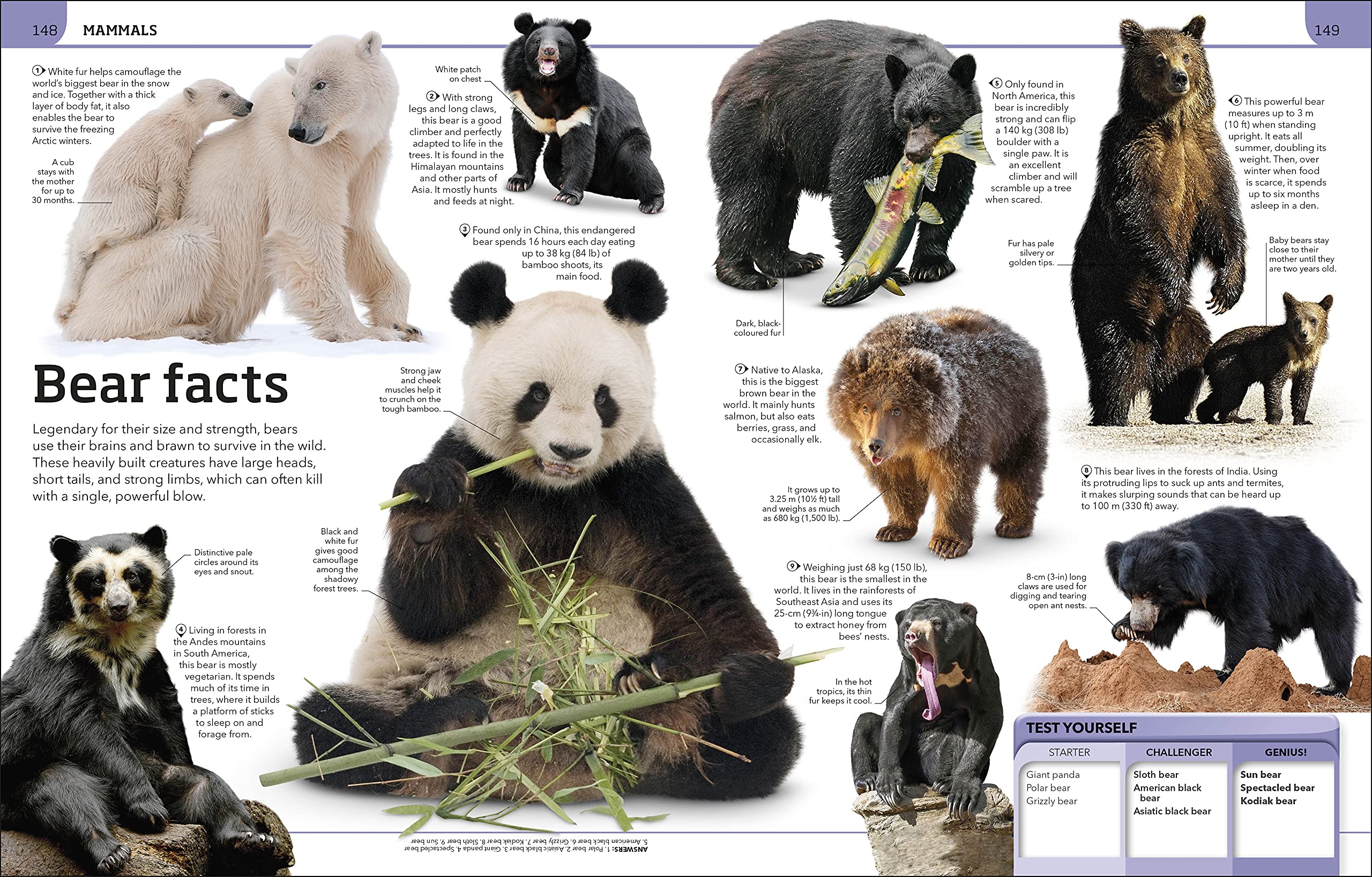 Animal Knowledge Genius!: A Quiz Encyclopedia to Boost Your Brain