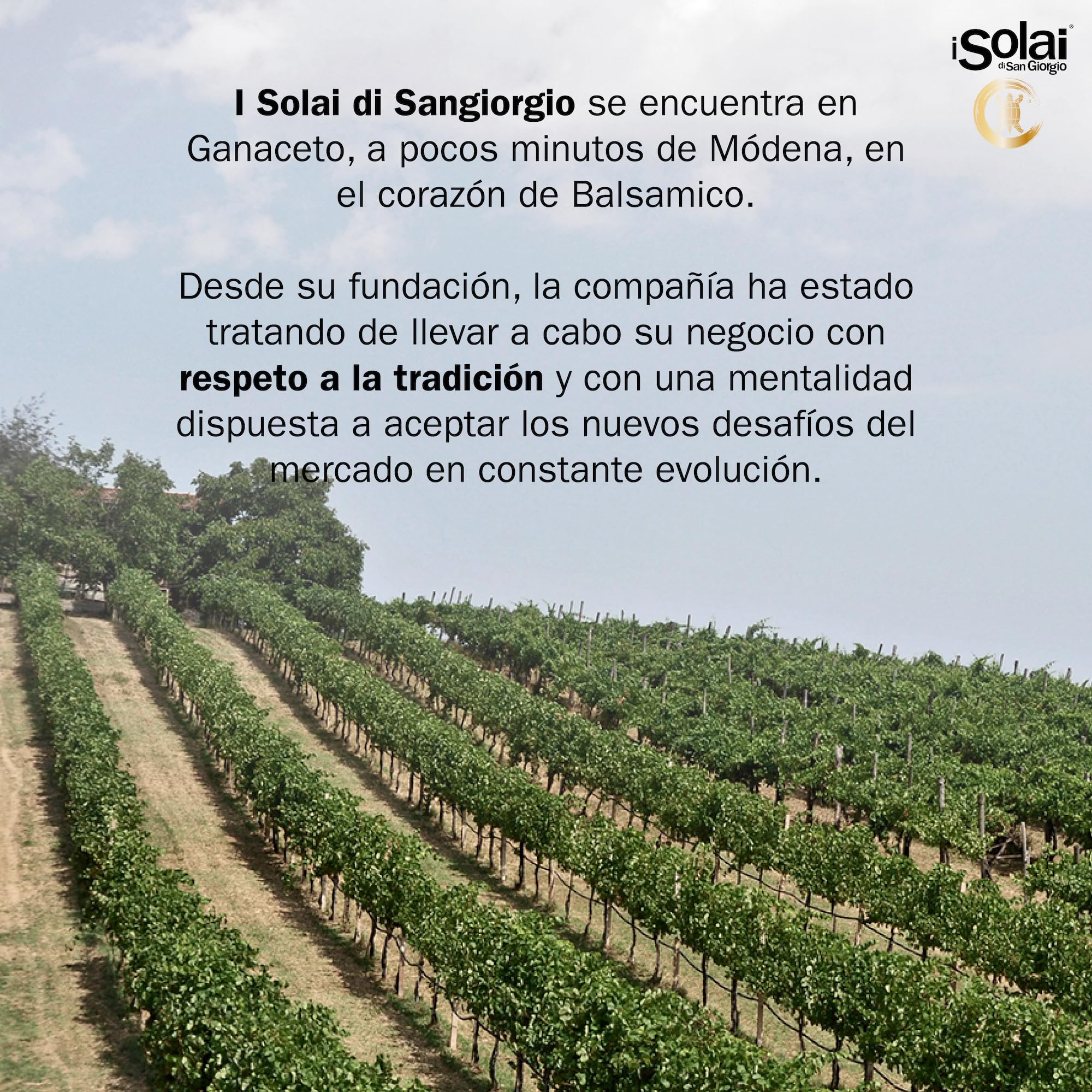 I Solai Di San Giorgio, Vinagre Balsámico de Módena I.G.P. Biológico, de Alta Densidad, Elaborado con Uvas 100% Italianas Ecológicas, Ideal para Acompañar Carnes Rojas, Quesos, 250 ml.