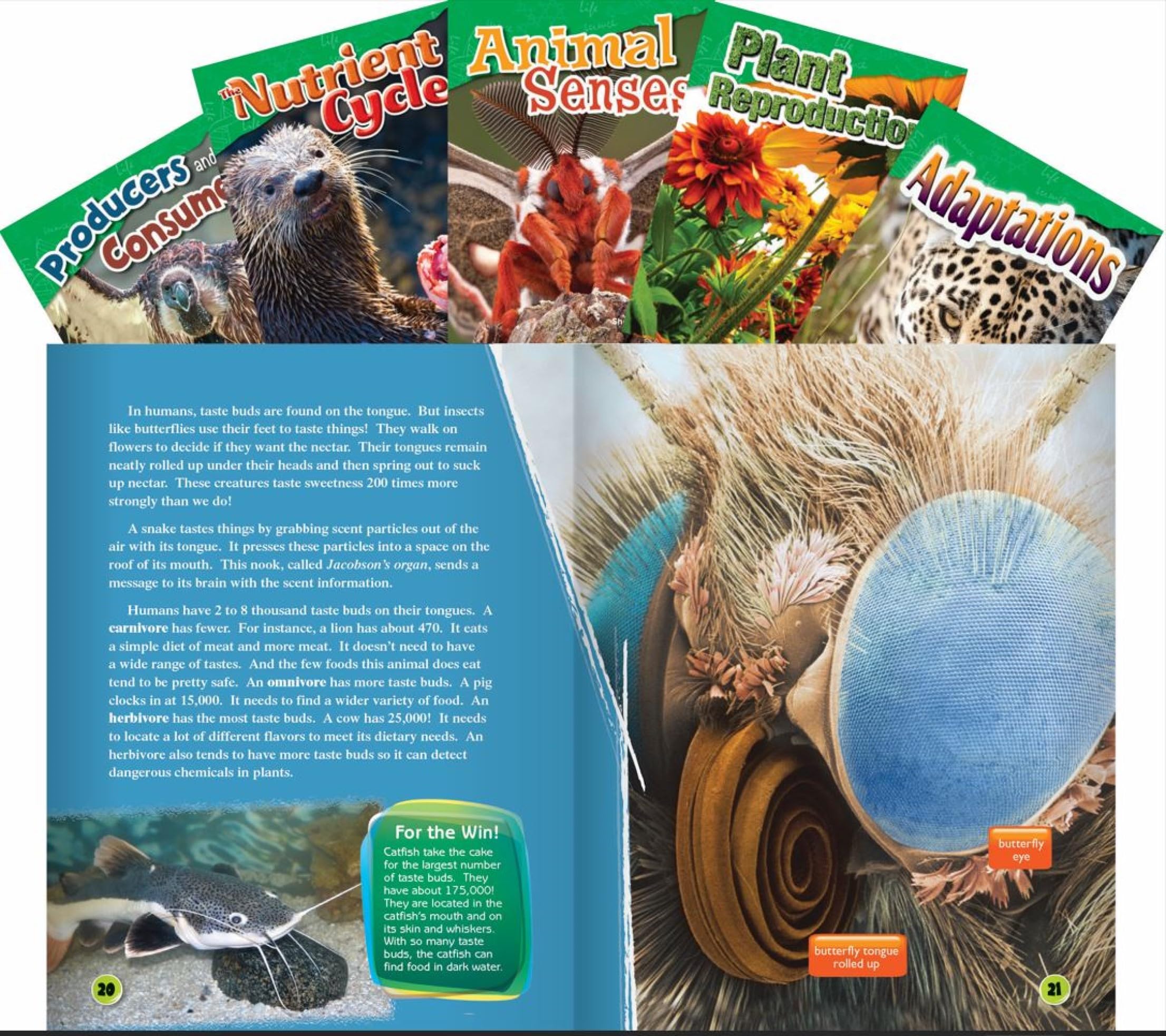Life Science Grade 4: 5-Book Set (Science Readers: Content and Literacy)