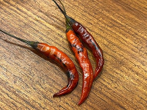 Miniatura 3 de Purple Chile De Arbol Tree - Semillas prémium para plantación y más