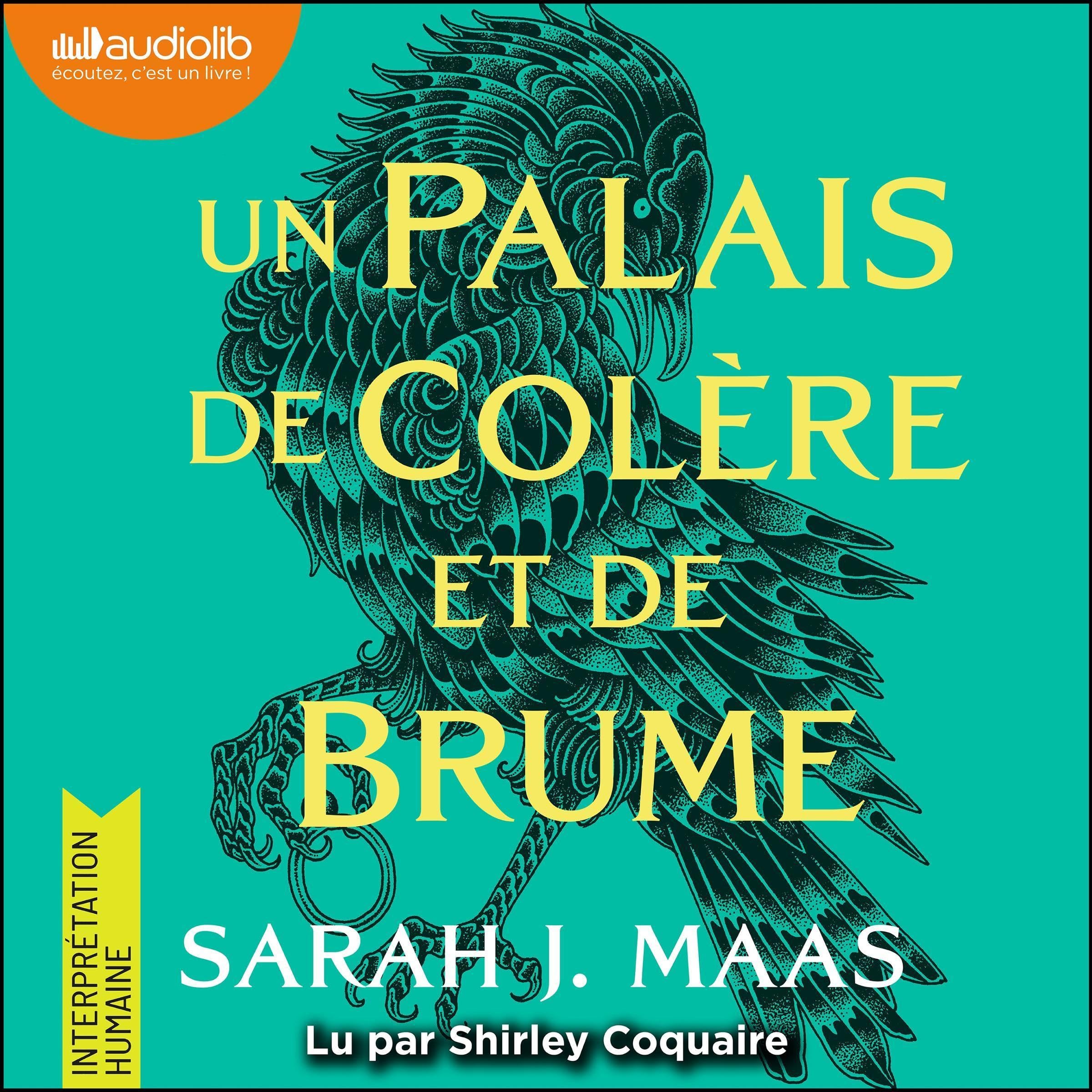 Cover art for Un palais de colère et de brume