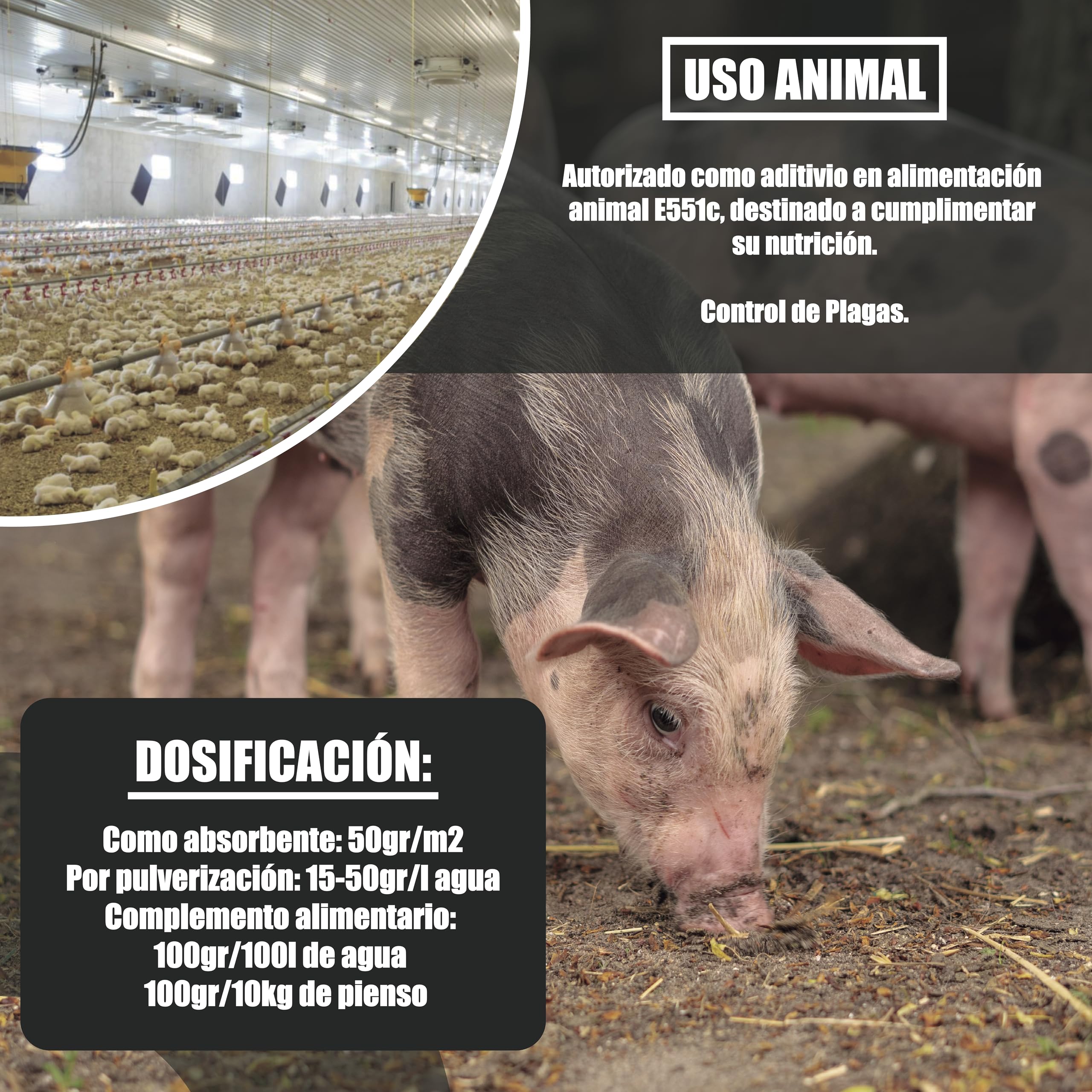 GREENGOF Tierra de Diatomeas Micronizada 1Kg - 100% Natural - Aditivo Alimenticio Animal E551c - No calcinada - Alta Pureza - Sin tratamientos ni residuos. Uso en Agricultura, Jardín y Animales.