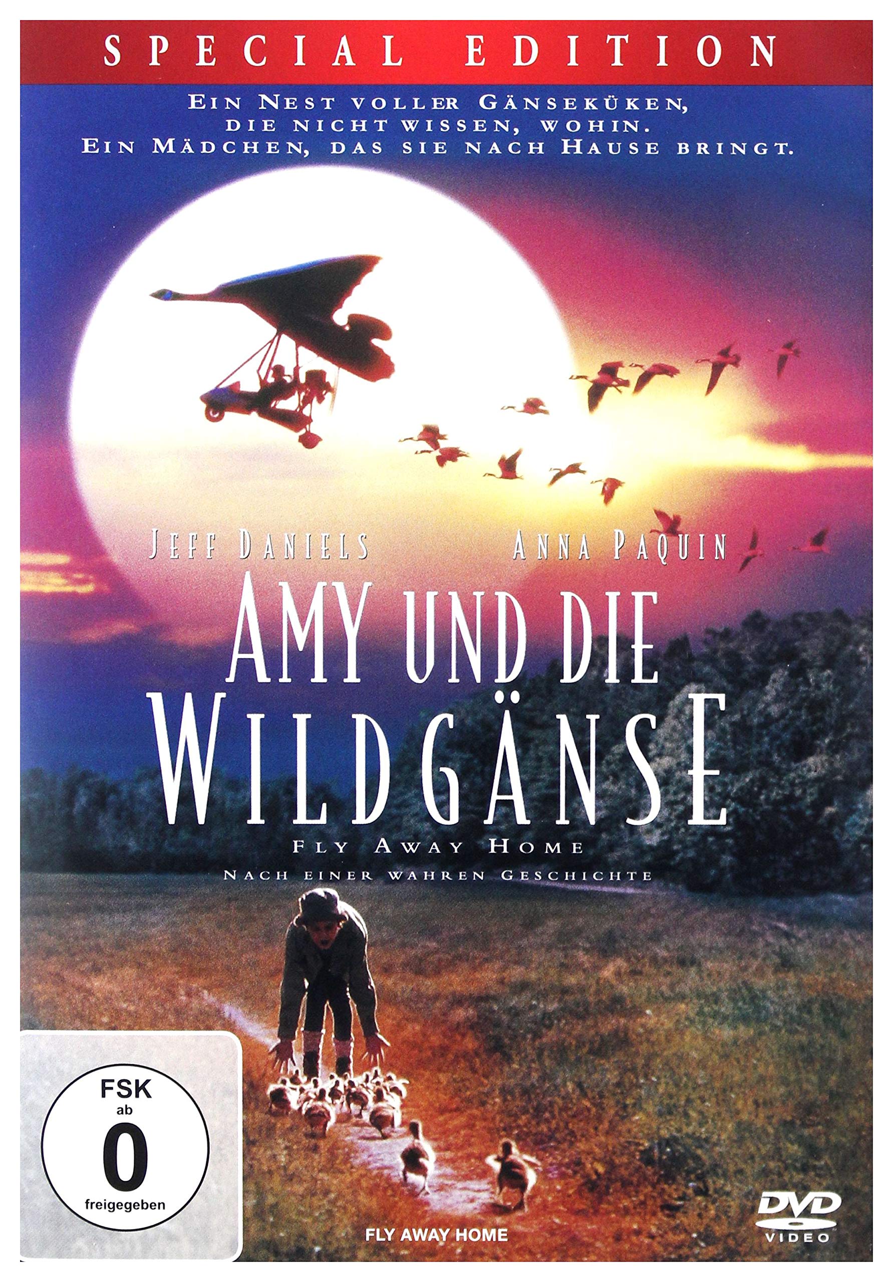 Amy und die Wildgänse DVD Edición Especial Alemania película familiar clásica