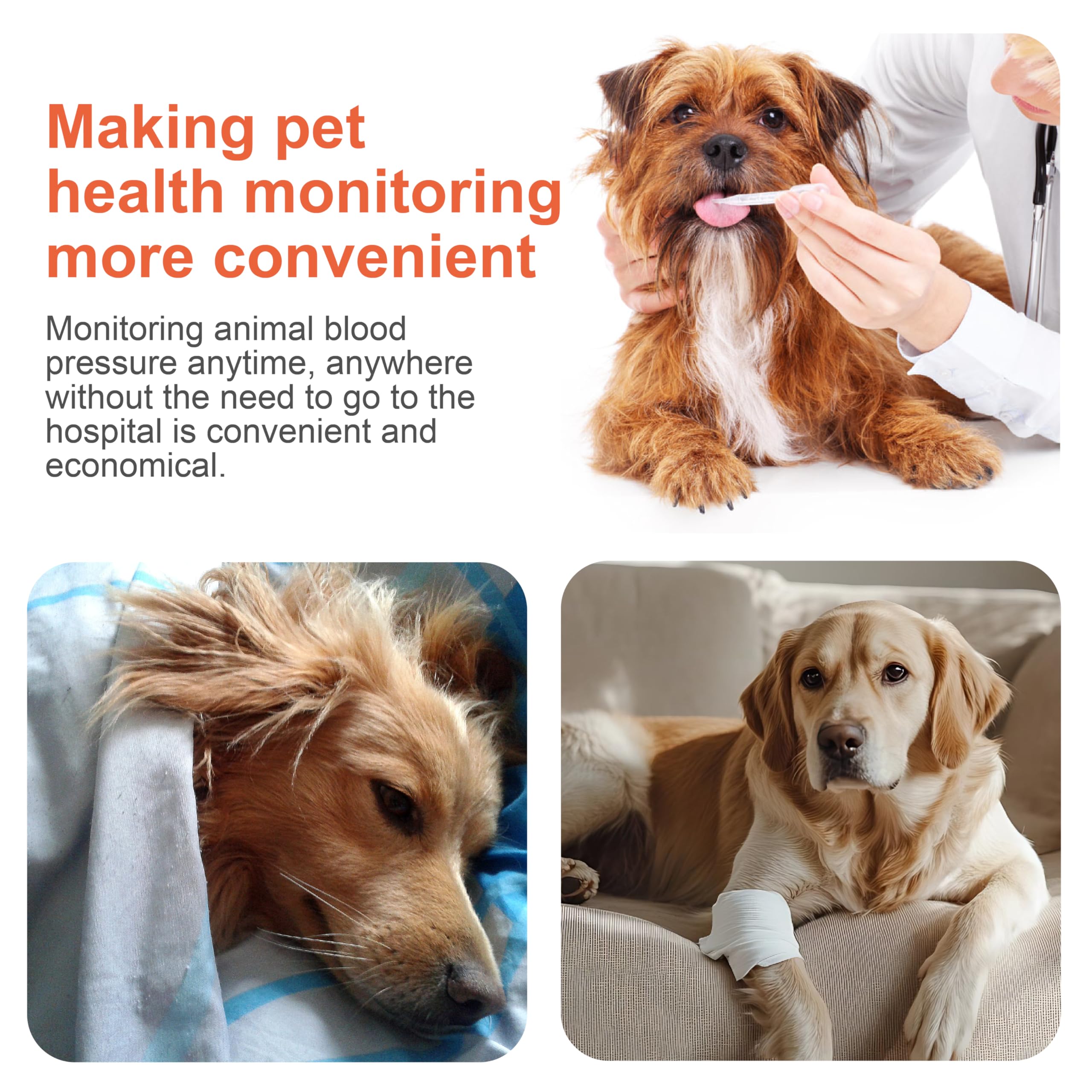 Moniteur de pression artérielle vétérinaire, machine de pression artérielle numérique automatique pour chien et chat, moniteur de pression artérielle pour chat à fonctionnement silencieux