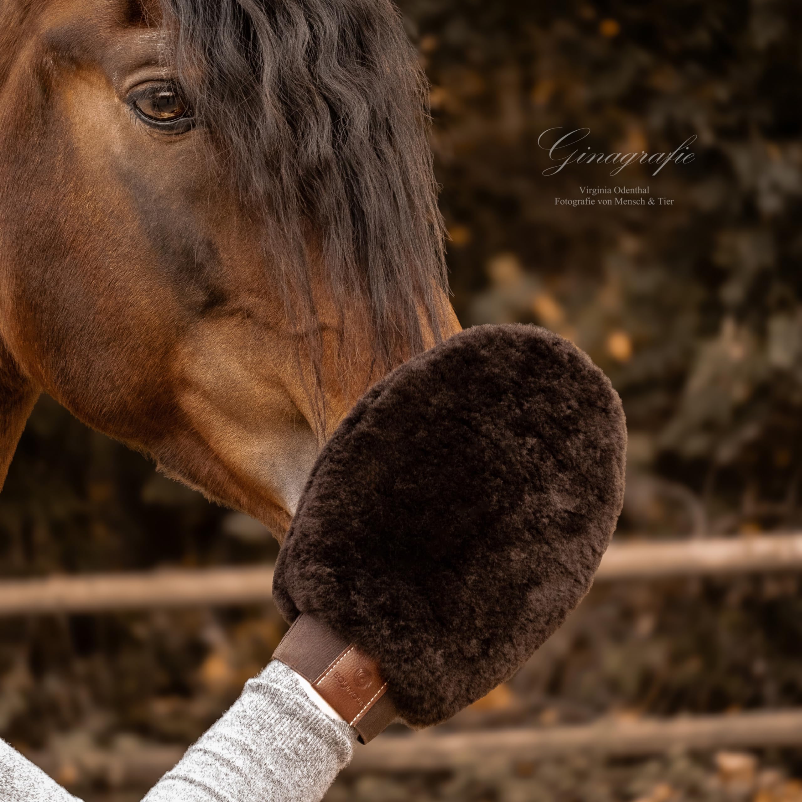 gant de pansage en peau d’agneau BONNY – gant doux pour cheval | Soin délicat des zones sensibles, anti-poussière, finition brillante, application produits, antistatique