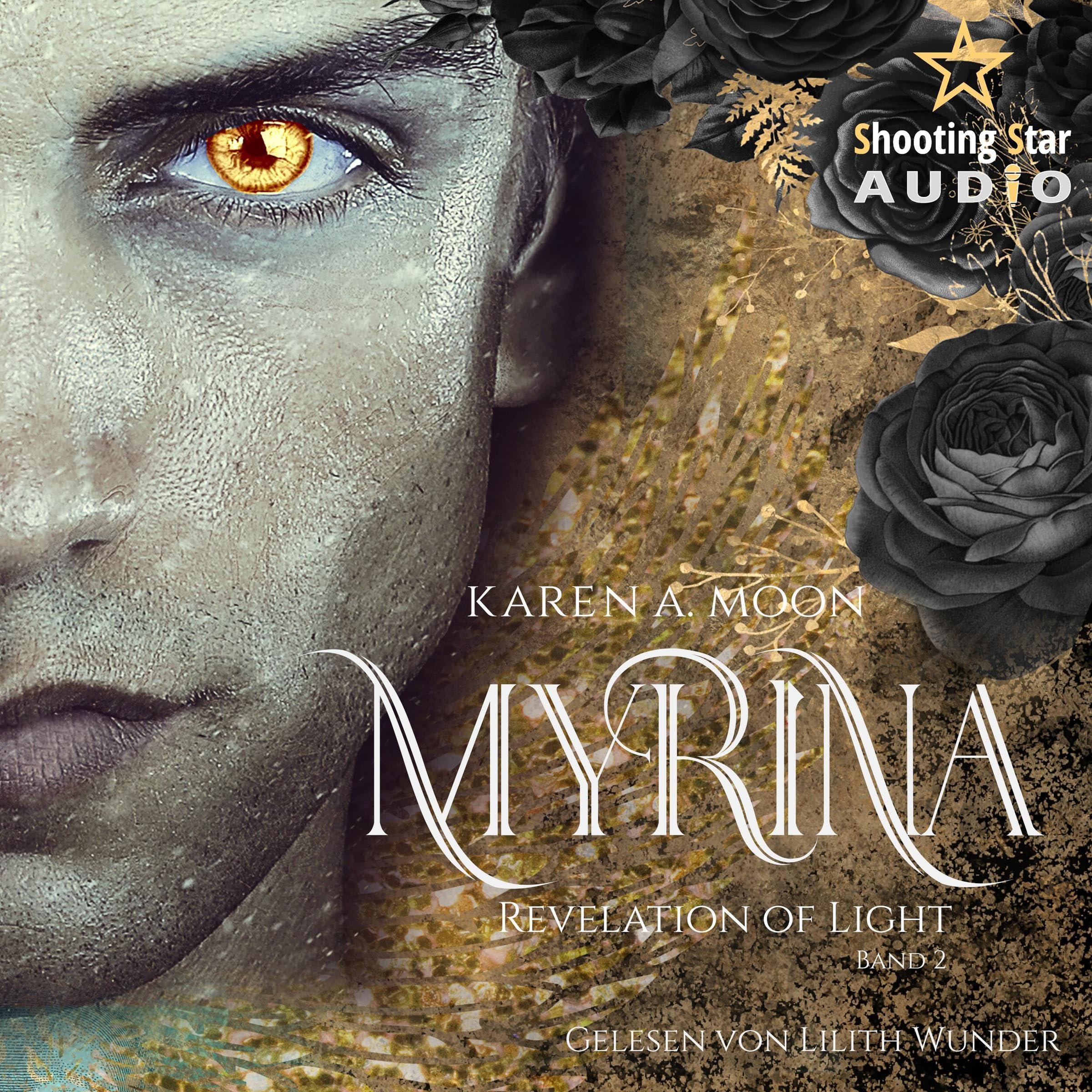 Cover art for Revelation of Light (German edition)