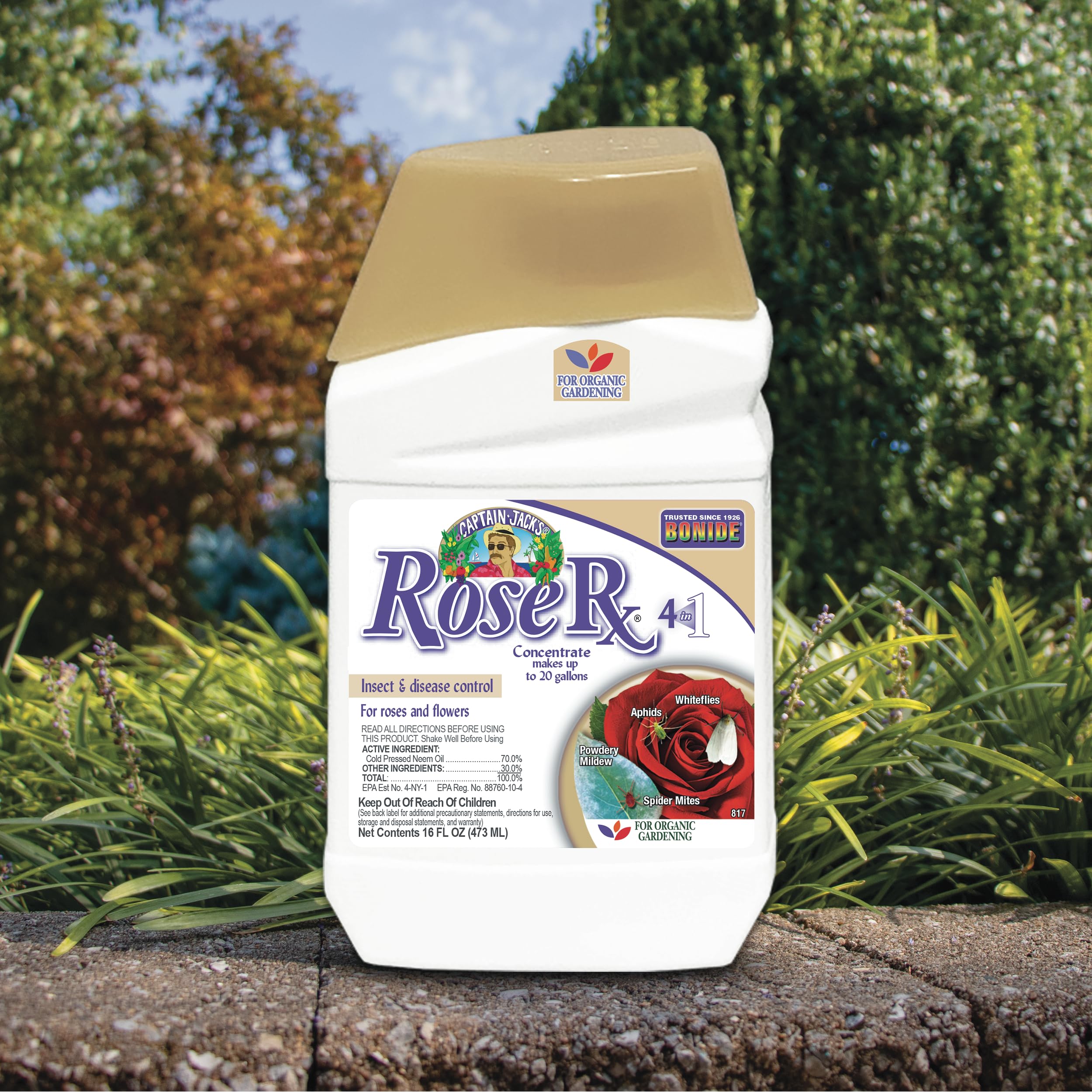 Amazon.com: Bonide Captain Jack's Rose Rx 4-in-1 Insect & Disease