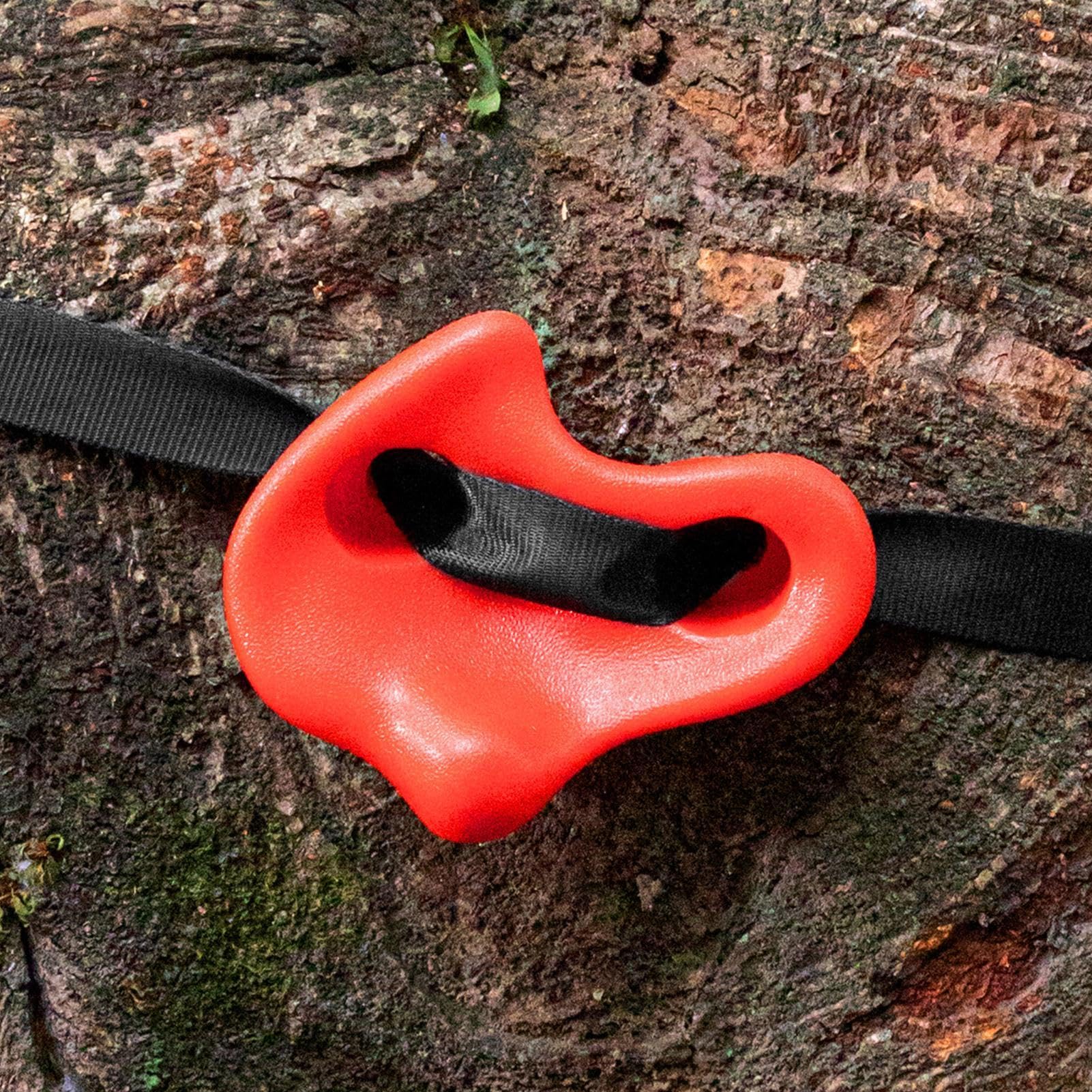 Kit da Arrampicata 18x, Supporto per Arrampicata su Alberi, da Parete per