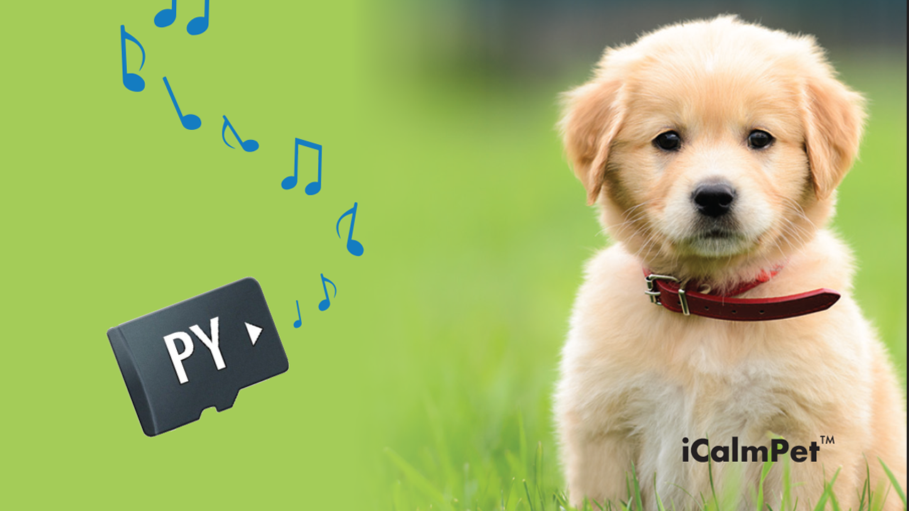 Amazon.com: iCalmPet | Through a Dog's Ear: Puppy Pak | 3-CD Box