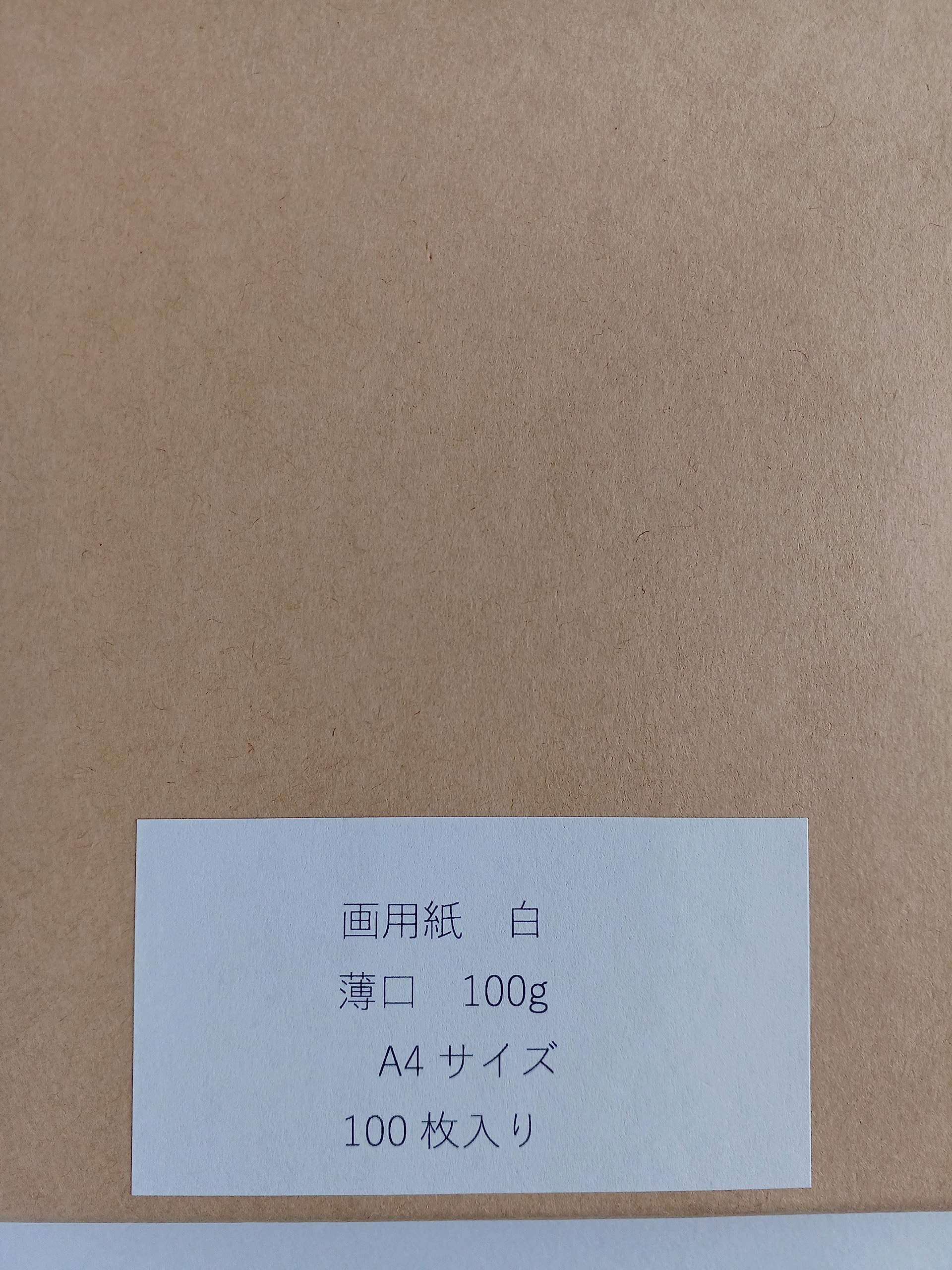 白画用紙画材用 Amazon | キングコーポレション 白画用紙A4 厚口 100枚入り
