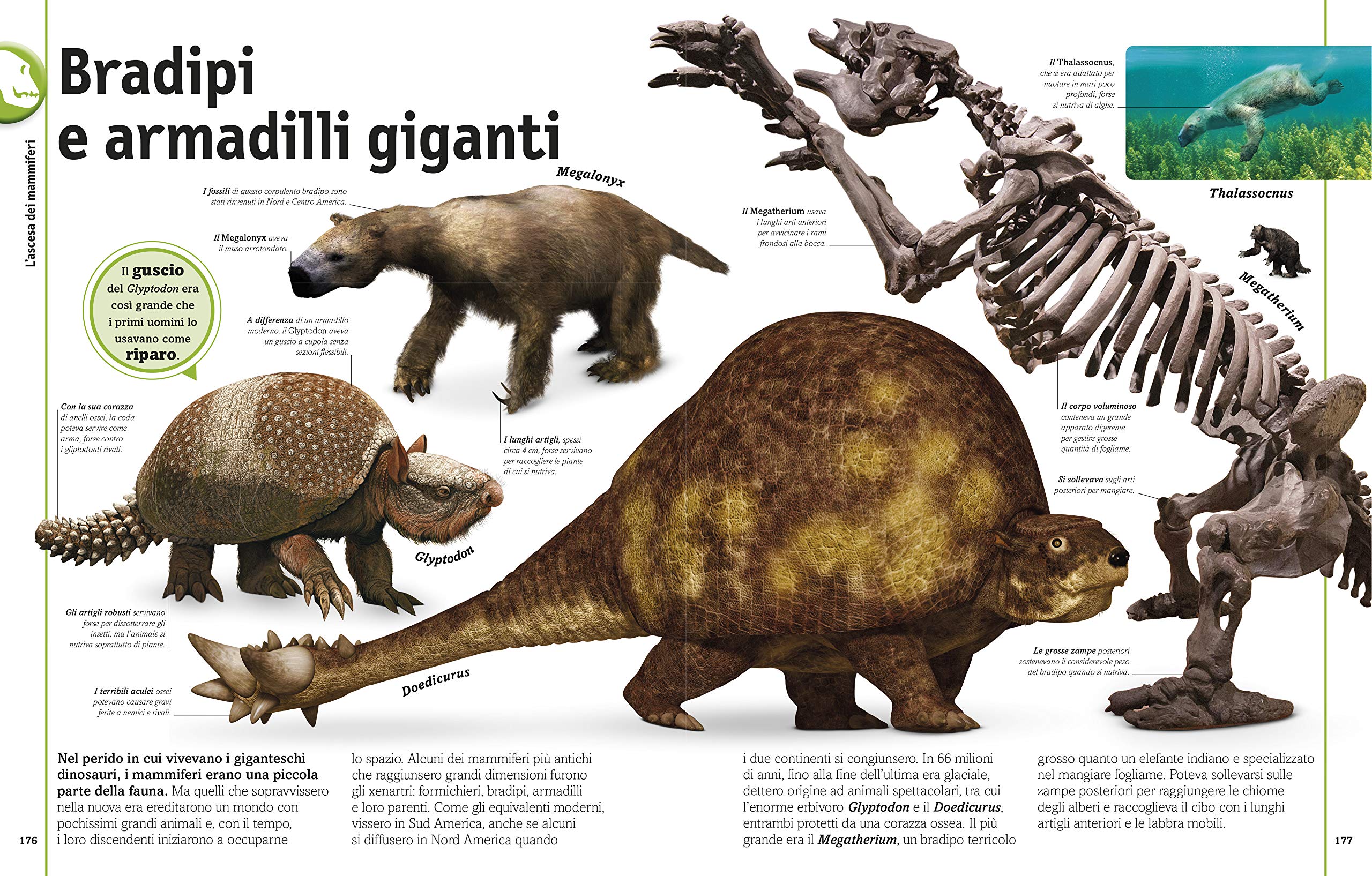 Dinosauri