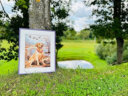 Vista 66 de RIOLIS - Perro salchicha 906, kits de punto de cruz para perros de 9,84 x 9,84 pulgadas, kits de punto de cruz contado, kits de punto de cruz