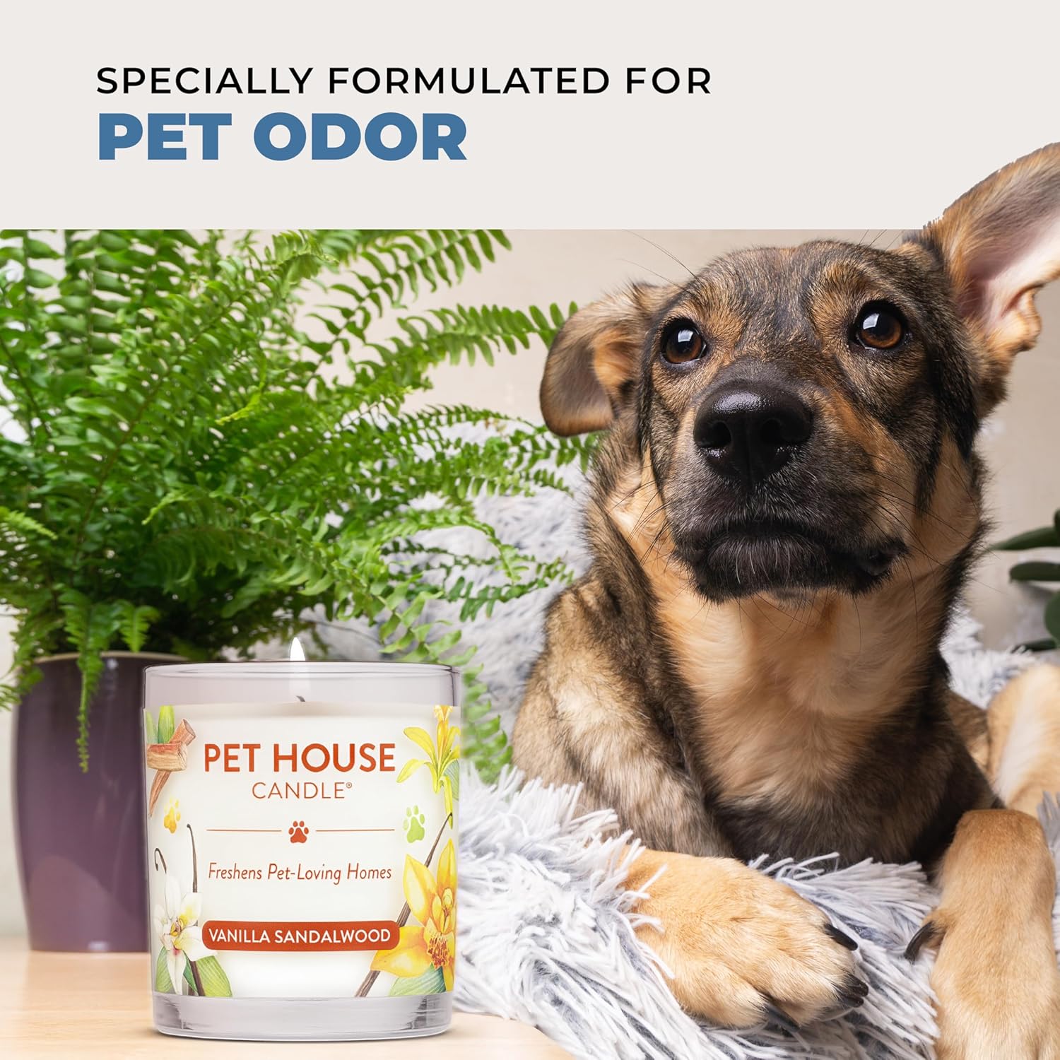 One Fur All Pet House Candle - ピーカンパイ - 100%植物ベースのワックスキャンドル - 家庭用の