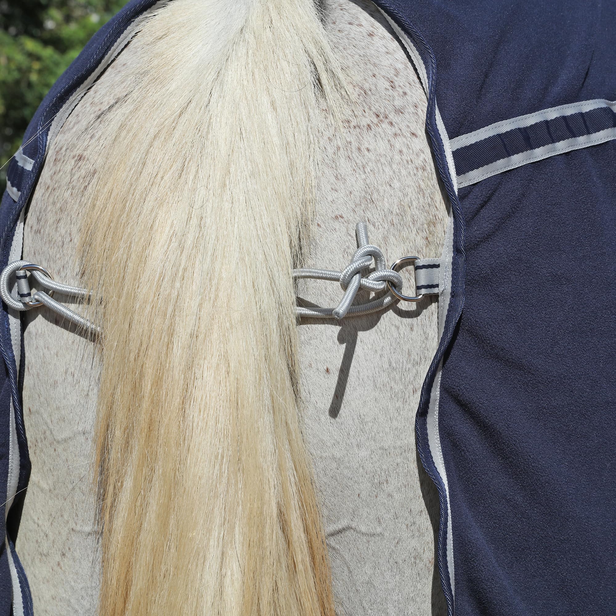 Manta de Secado para Caballo en Forro Polar 300 g/m² – Transpirable, Absorbente y de Secado rápido, Ideal después del Entrenamiento, el baño, en el establo y Durante el Transporte