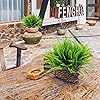 Product Photo 7