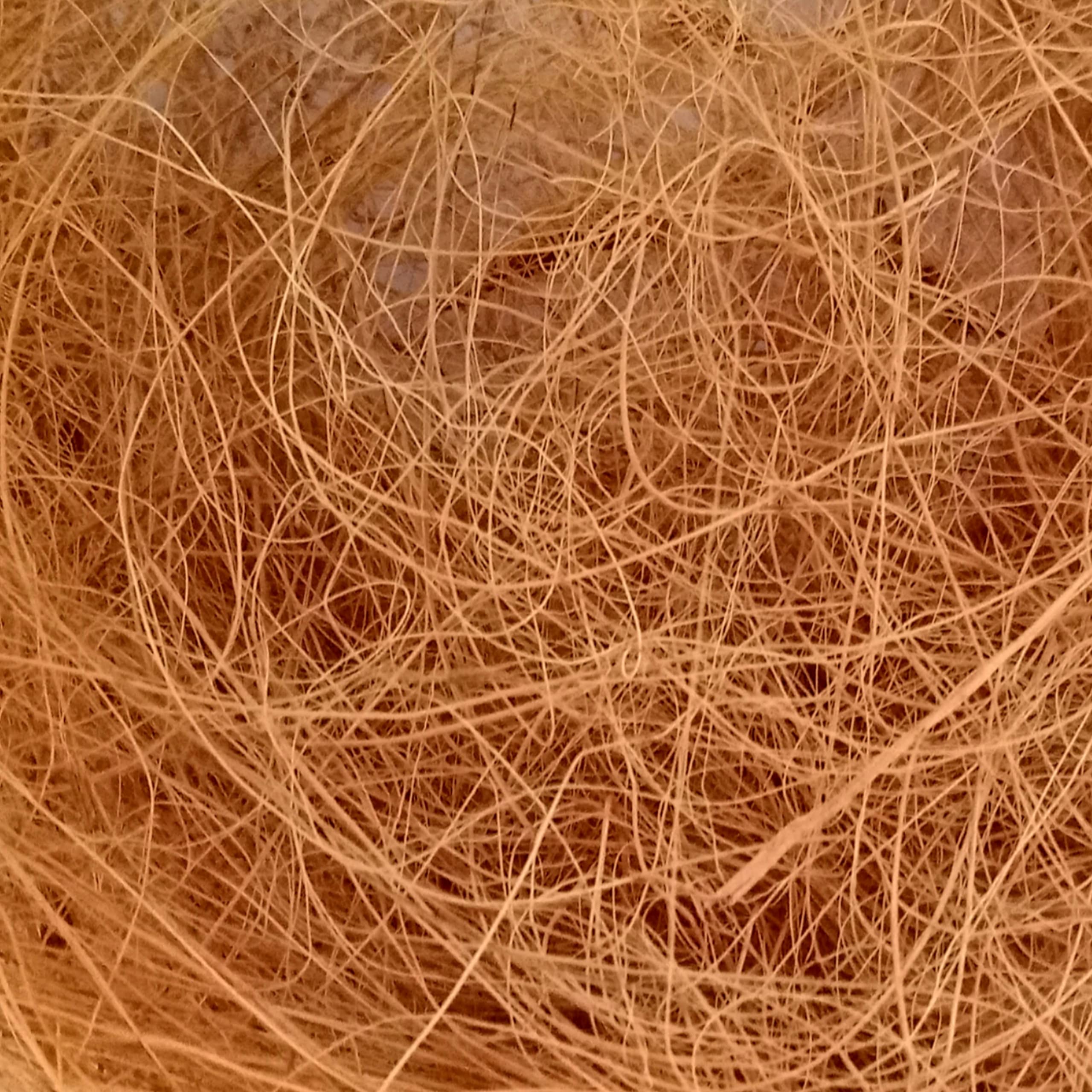 FEELBETTER - Handmade and Manually Extracted Natural Coir Fiber Nesting Material for Birds Pack of 300g (300) (B0BHLDP2ML) Amazon Price History, Amazon Price Tracker