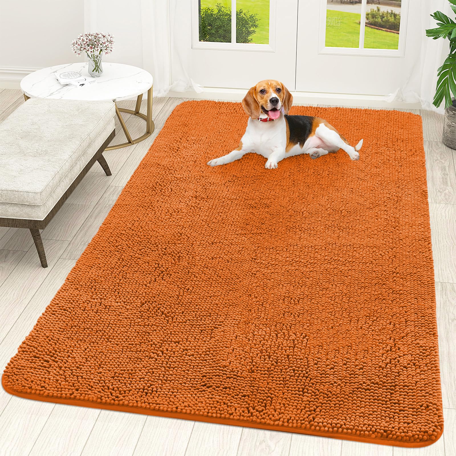 OLANLY Dog Door Mat for Muddy Paws 70x46, Super Absorbent Chenille Mud Mat