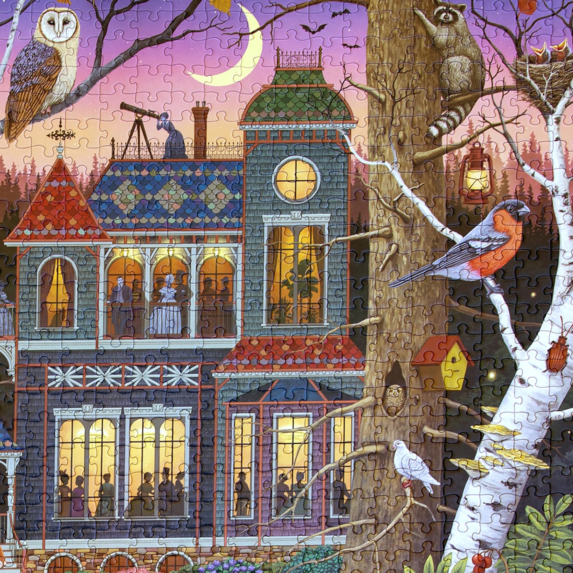 Amazon.com: eeBoo 1000 Piece Puzzle - Alchemist's Forest Jigsaw