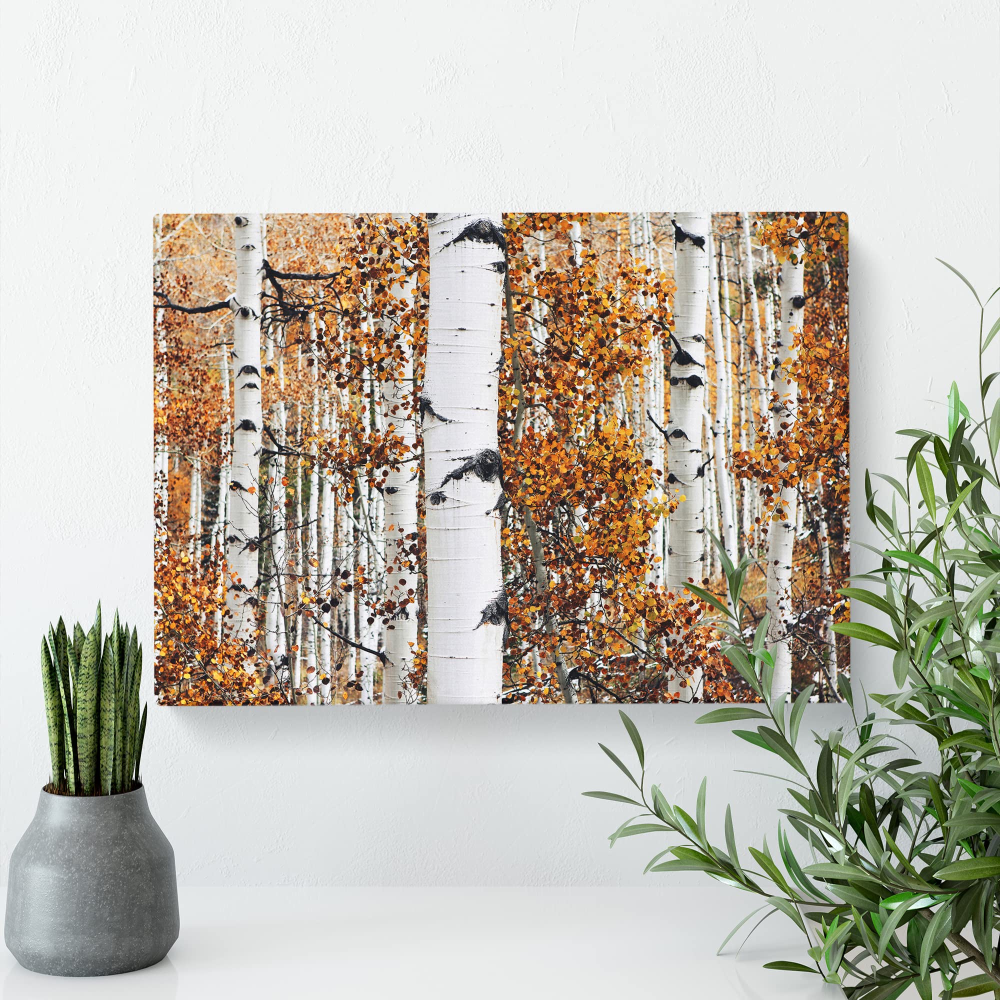 Autumn Landscape Aspen Forest Wood Canvas Print, Mixed, 25L x 50W cm - Image 3