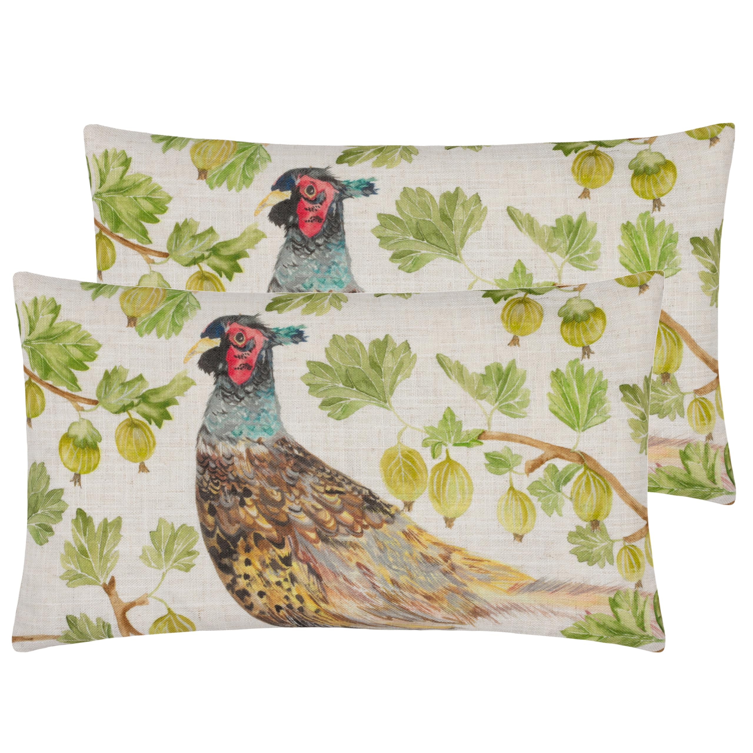 Evans Lichfield Grove Pheasant Feather Filled Cushion - Twin Pack