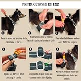 Ver la foto 7