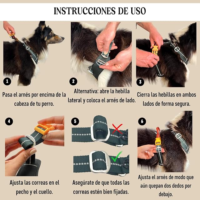 Foto 7 de 8 de Nomadog PawRadise Arnes Perro Grande Sin Tirones con Asa