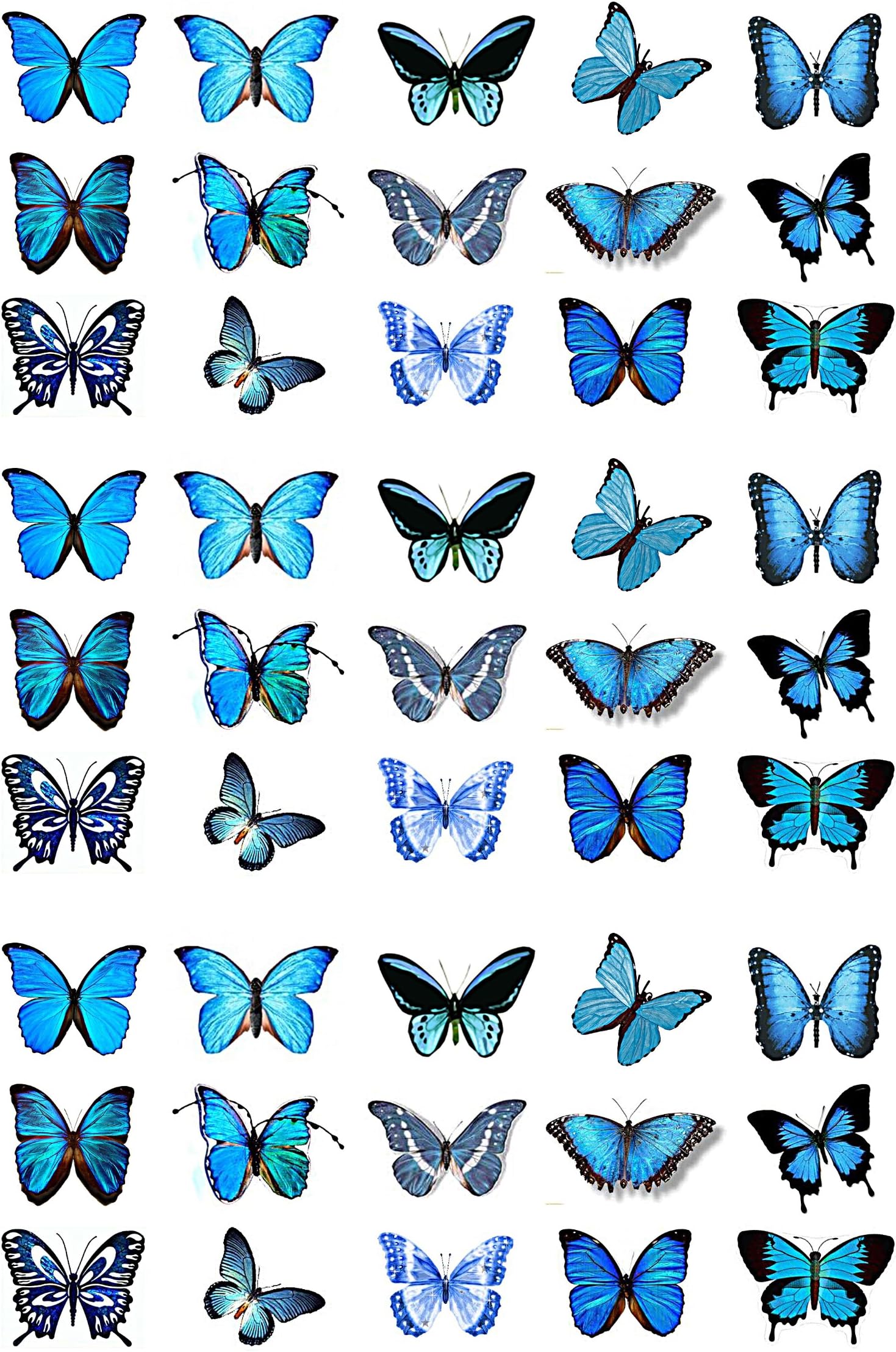 Cakeshop 45 x Blue Butterflies Edible Cake Toppers