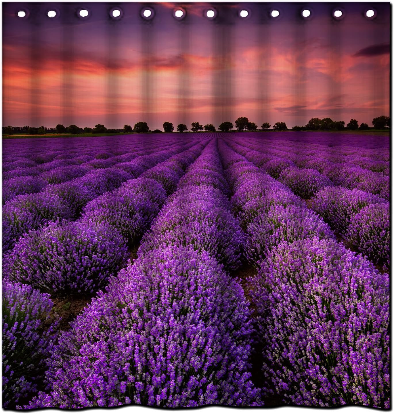 Lavender Field (2) Bath Shower Curtain 36"(w) x 72"(h