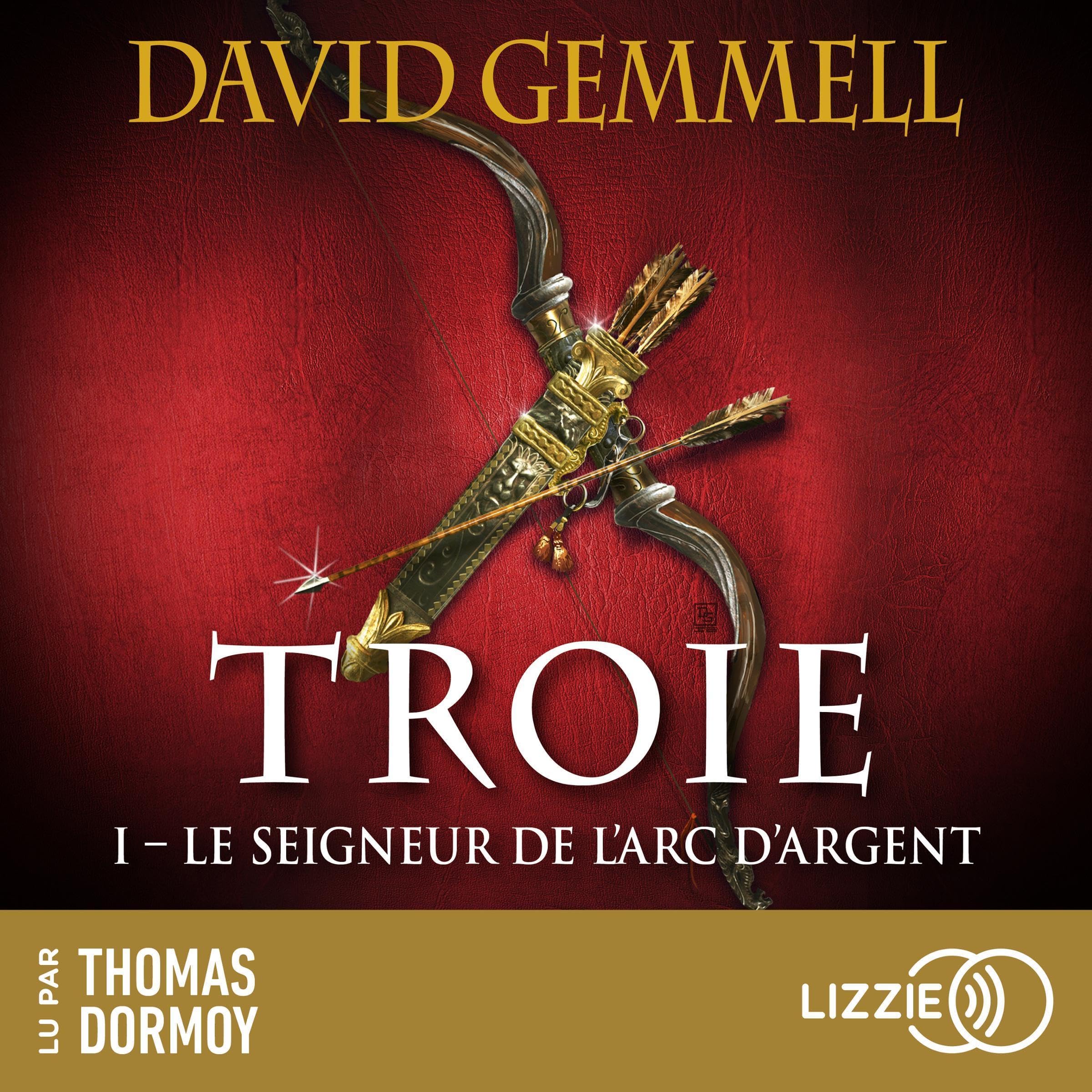 Cover art for Le Seigneur de l'Arc d'Argent