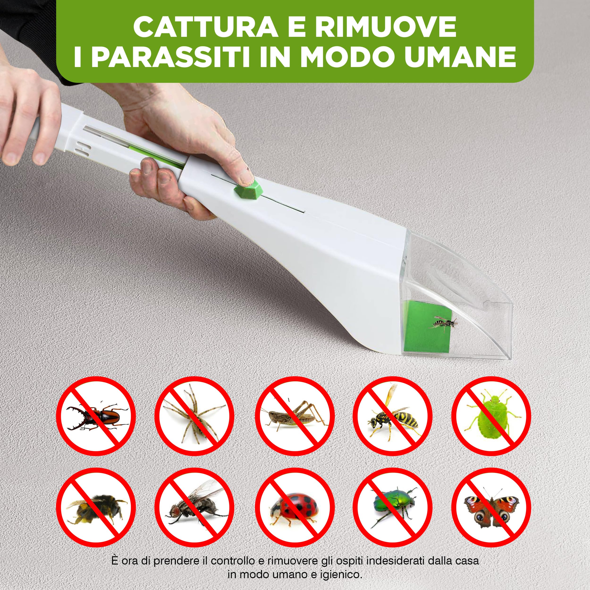 ISOTRONIC cattura insetti ragni manico telescopico ecologica lente ingrandimento visione ottimale casa giardino rimozione senza contatto 3 pezzo efficace sicuro interno esterno difesa cruelty free