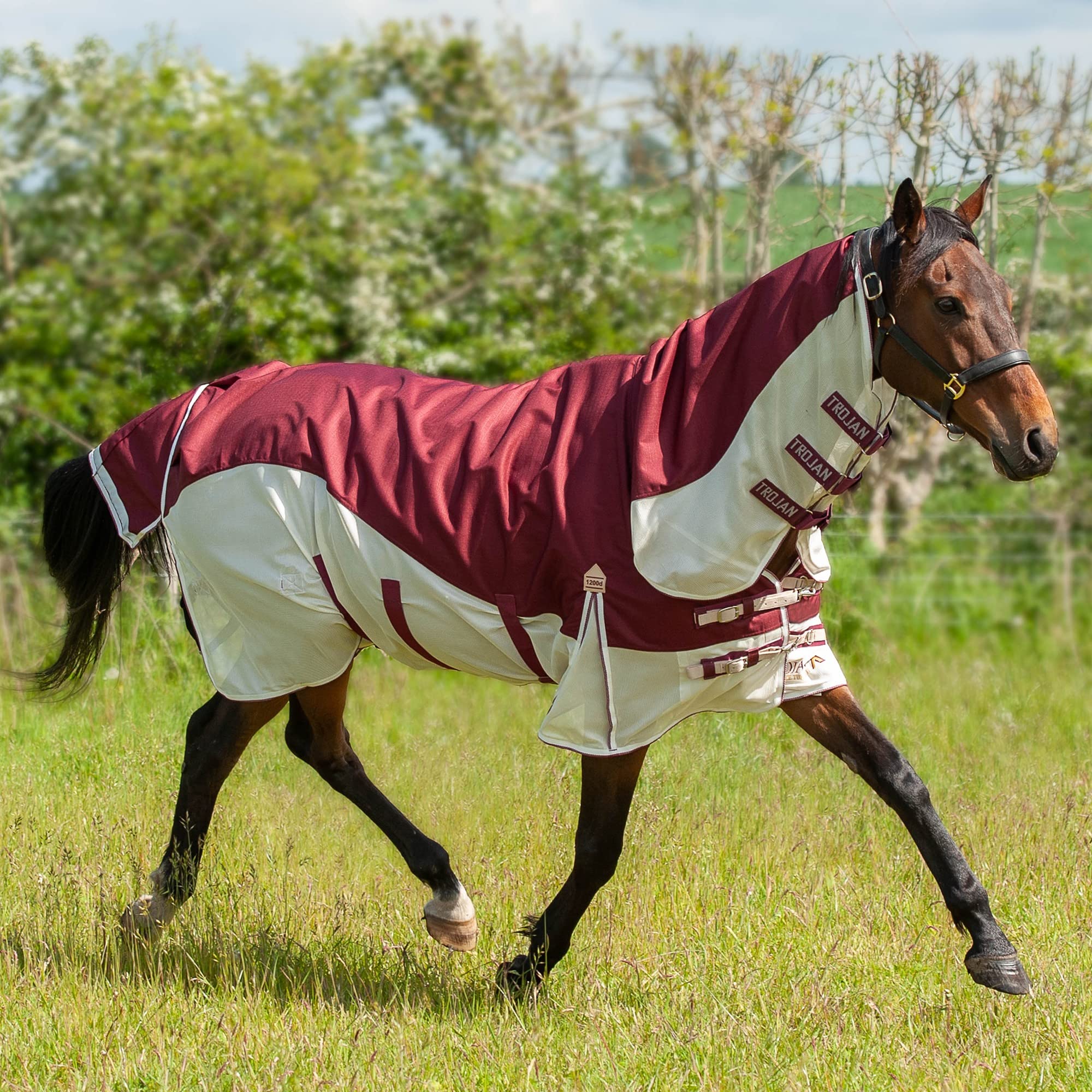 Gallop Trojan Xtra Waterproof Top Fly Turnout Combo Rug (5'6")
