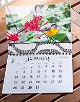 Vista 1 de 2018 Wall Calendar (The Real Backyard Birds of Rio de Janeiro)