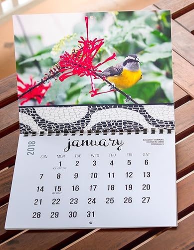 2018 Wall Calendar (The Real Backyard Birds of Rio de Janeiro)