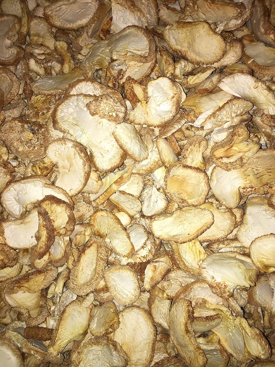 Dried Lion's Mane Mushrooms - 16 Ounce (1 lb)