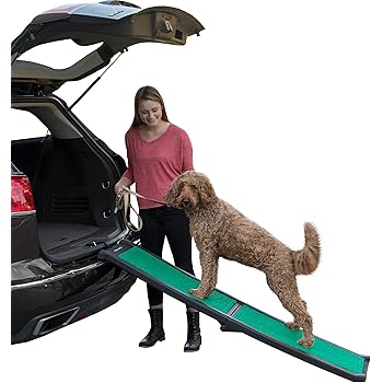 supertrax dog ramp