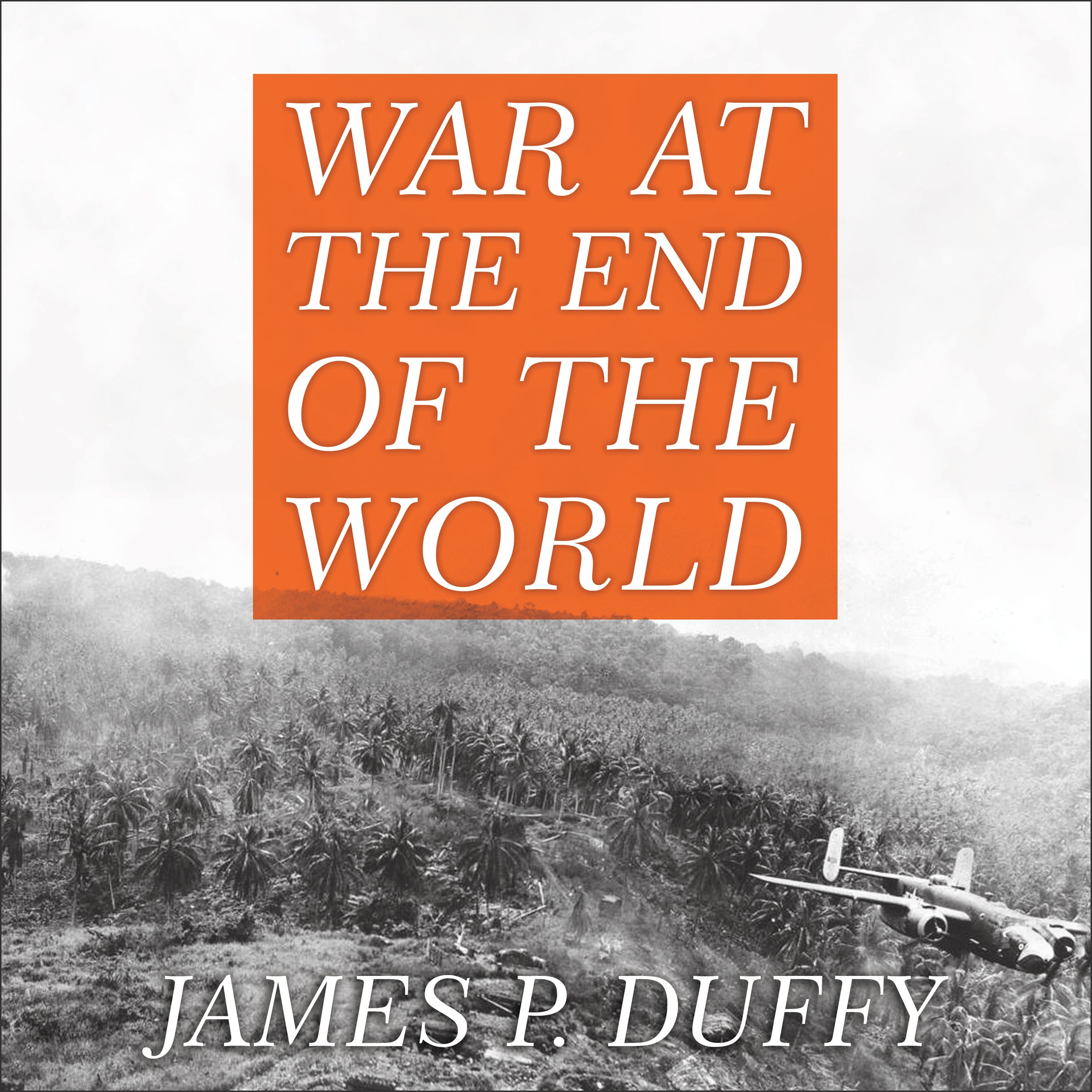 Cover art for War at the End of the World