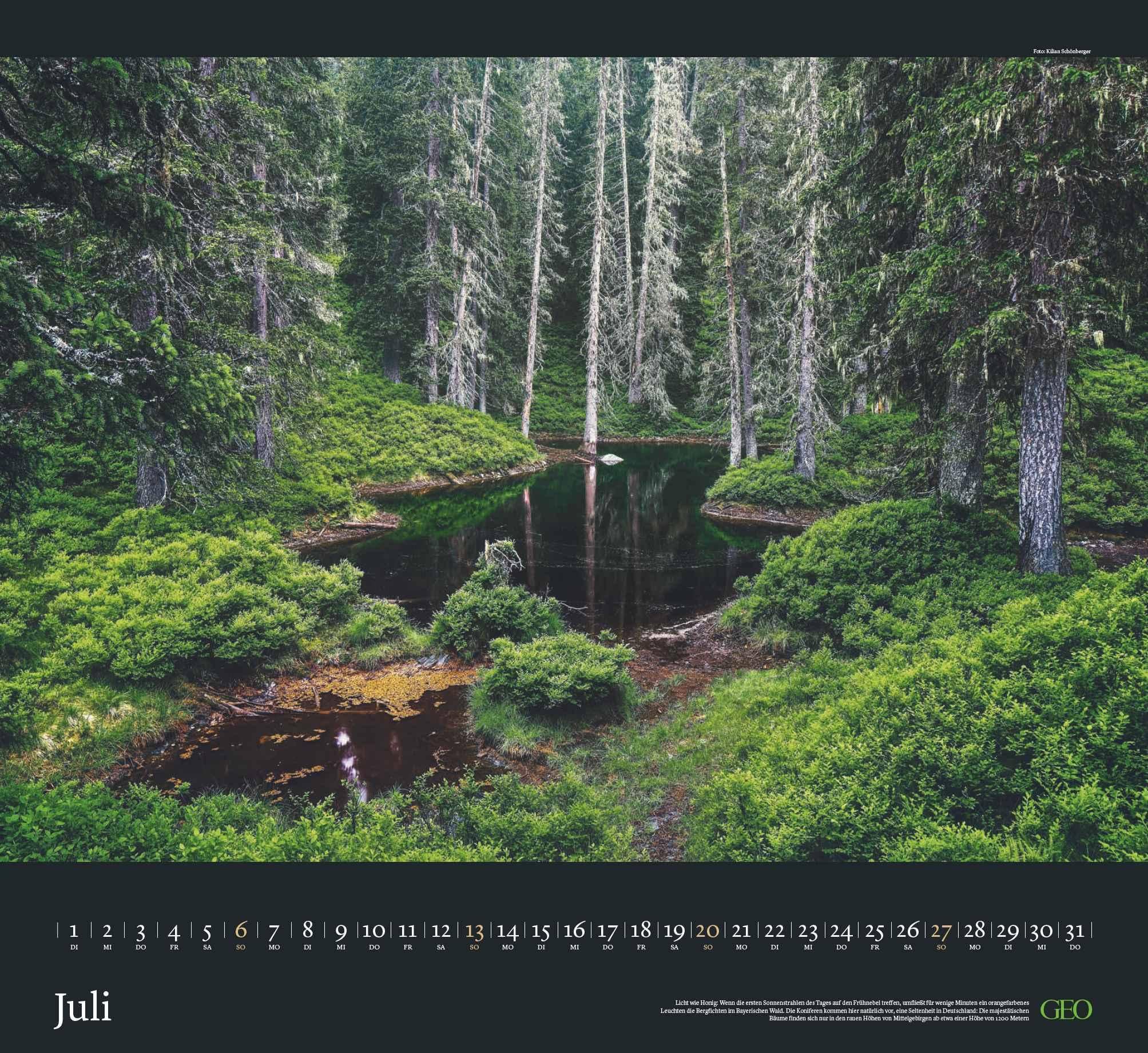 GEO - Sehnsucht Wald Wandkalender 2025 - Eindrucksvoller Waldlandschaften Kalender, Harmonisches Format 60x55 cm, mit Faszinierenden Wald- und Naturbildern