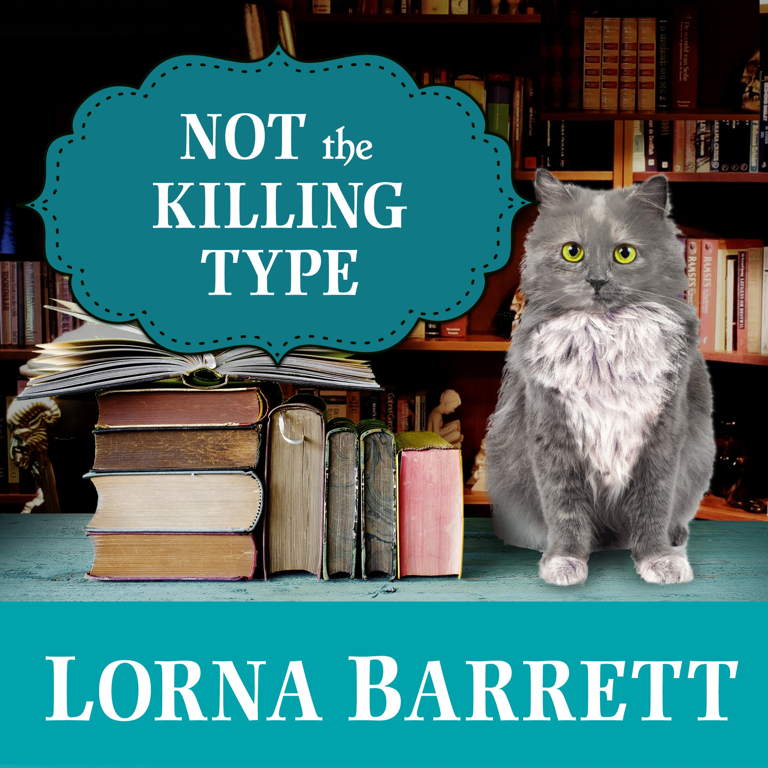 Cover art for Not the Killing Type