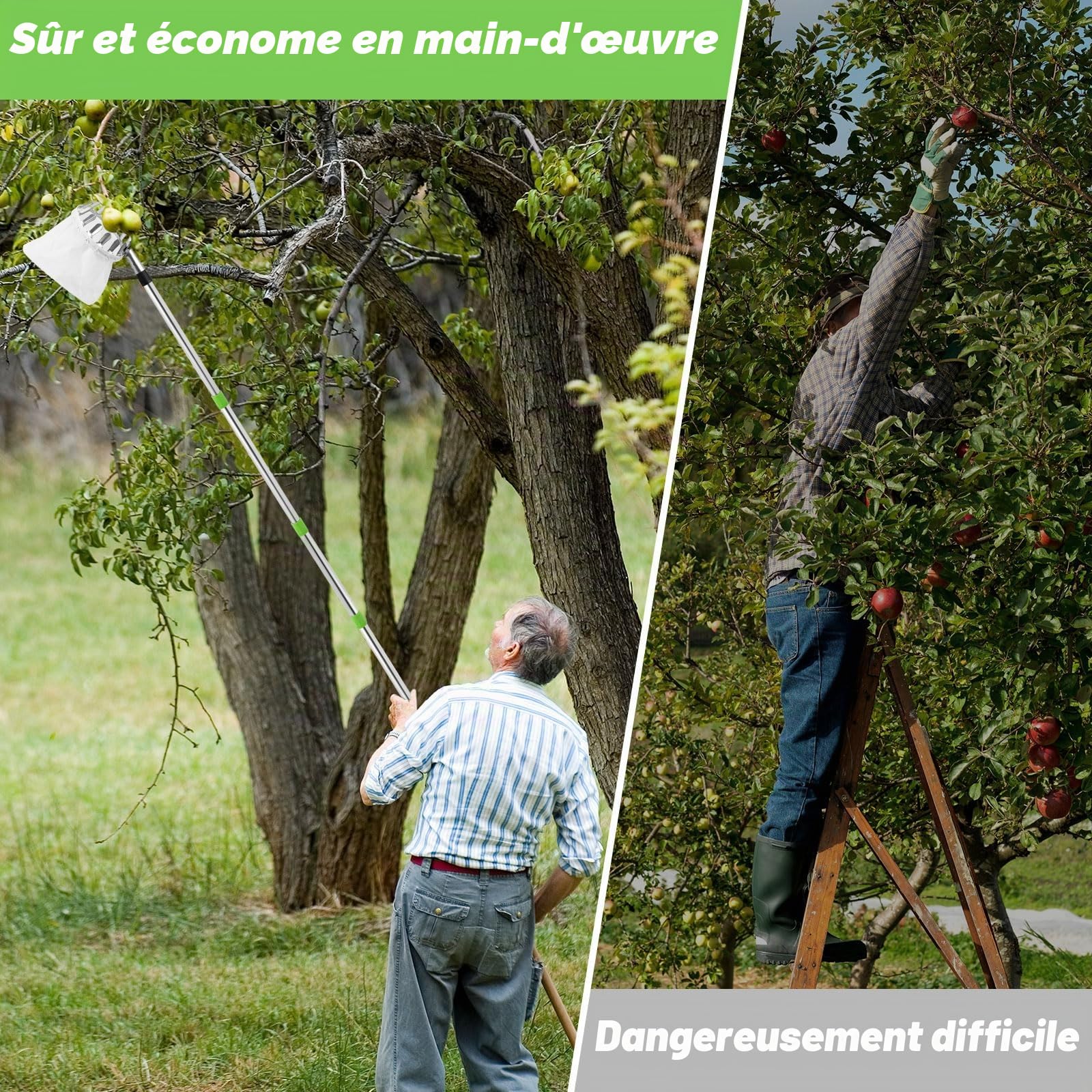 Cueille Fruit Telescopique, 4.2m Cueille Pomme Telescopique Amovible, avec Acier Inoxydable Perche Telescopique et Sacs en Coton, Outil Cueillette Jardin Arbre Poires PêChes