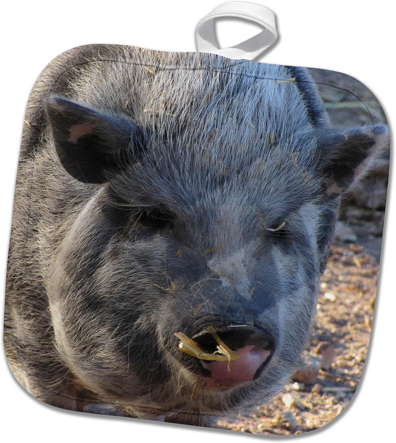 3D Rose Belly Pig Pot Holder, 8" x 8"