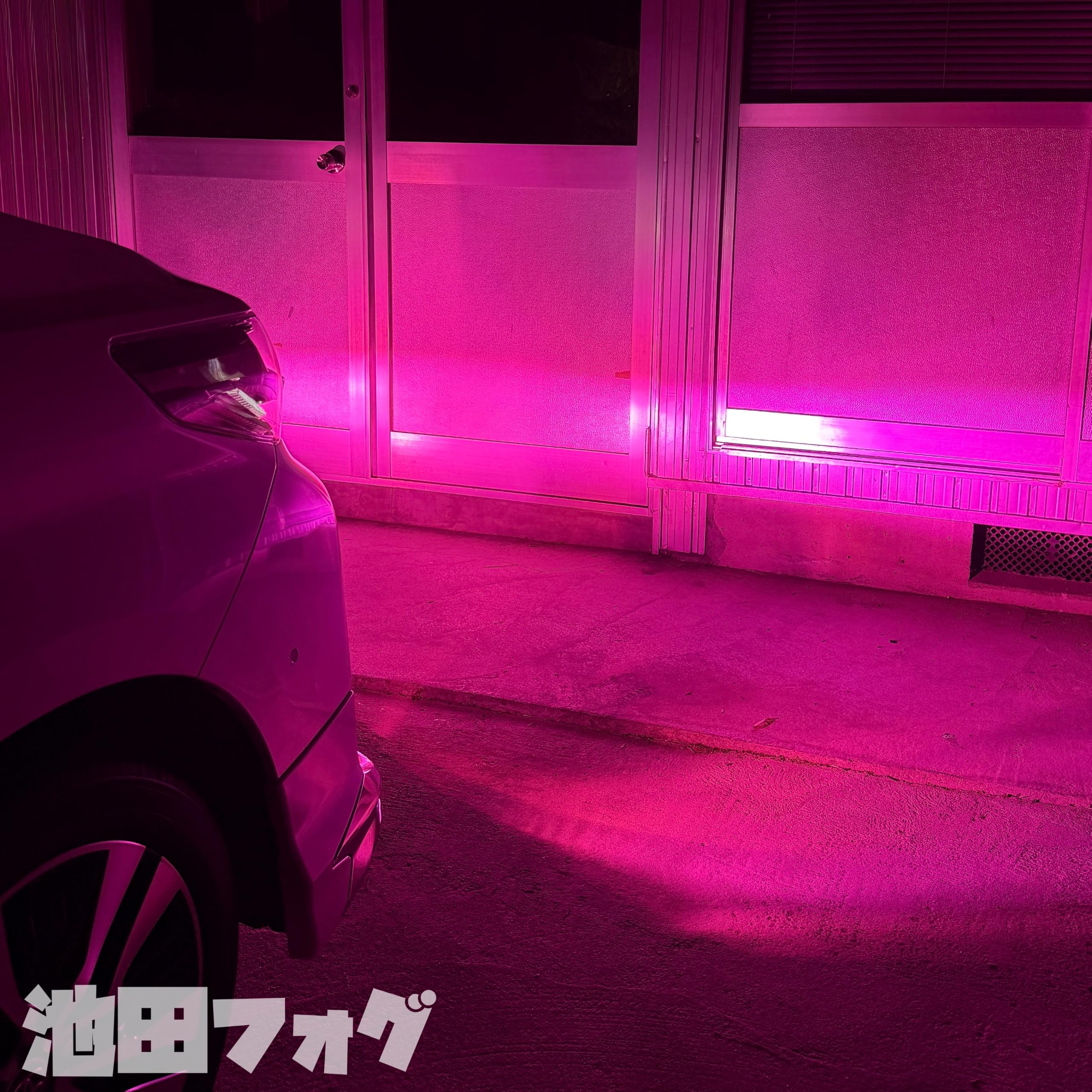 唯一無二！超爆光 PSX24W 86 BRZ ピンクフォグランプ！当店限定色! Amazon.co.jp: 爆光ピンクフォグランプ H8 H11 H16 HB4 PSX24W PSX26W