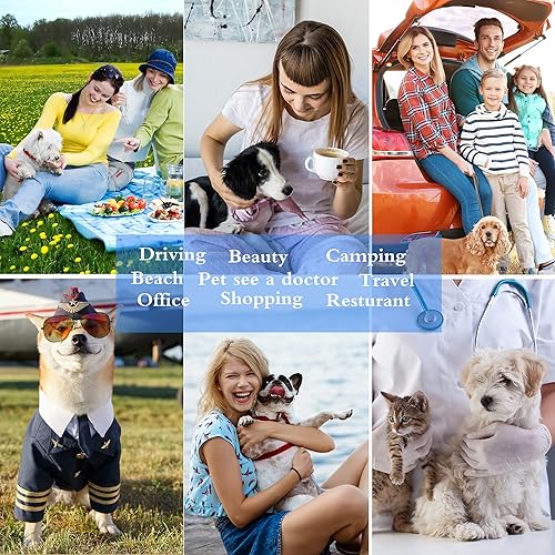 Cat Dog Carrier — bottom and base construction detail