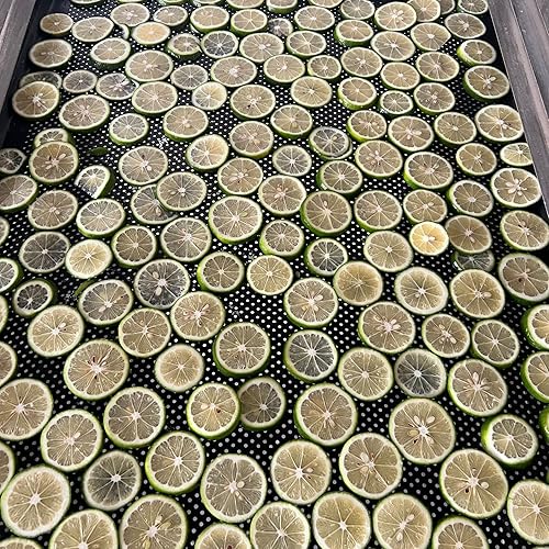 Miniatura 5 de Ruedas deshidratadas de rodajas de lima seca | 50 porciones aprox. | 100% natural sin azúcares añadidos | Cócteles, fabricación de coronas, té,
