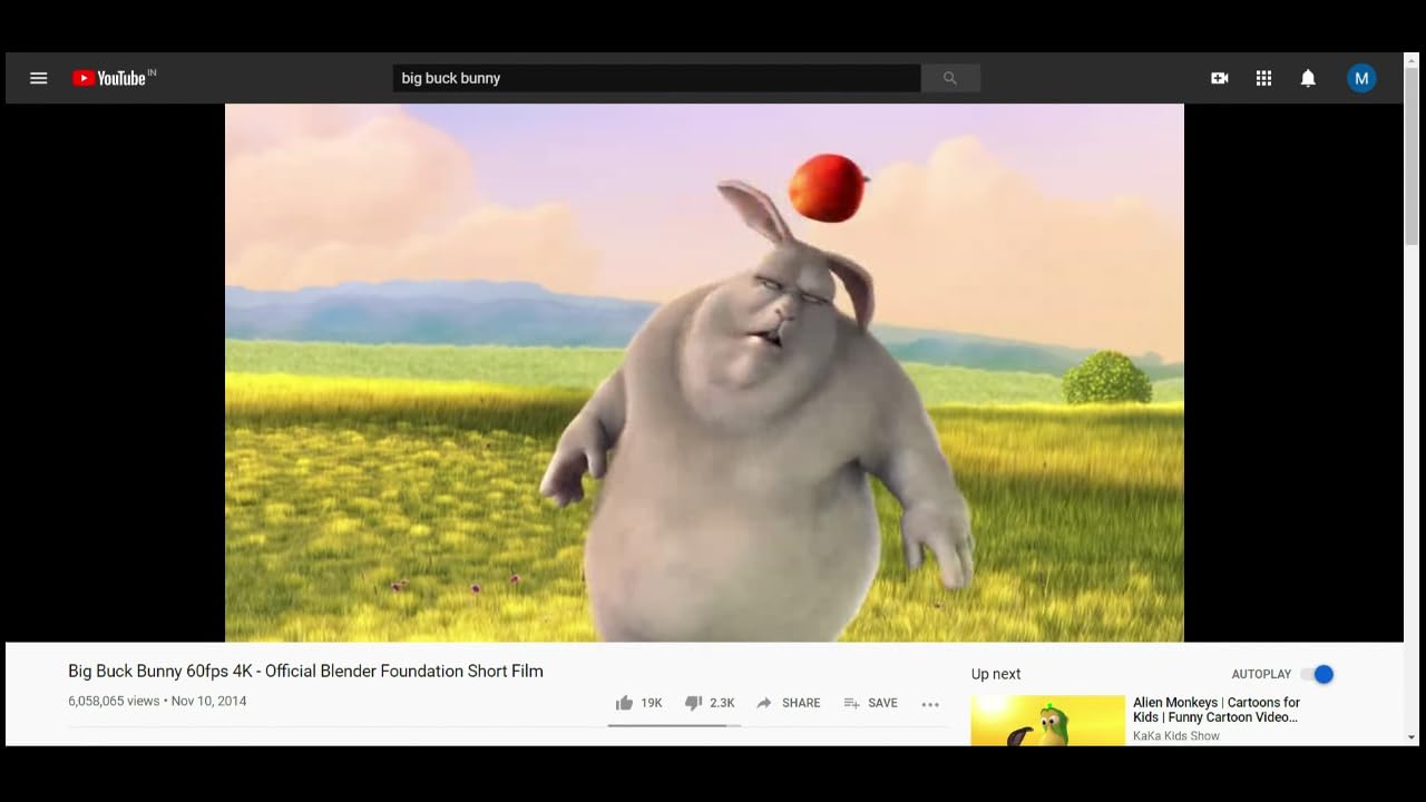 ScreenCast - An Airplay, Google Cast and Miracast Receiver - Mise en situation et utilisation